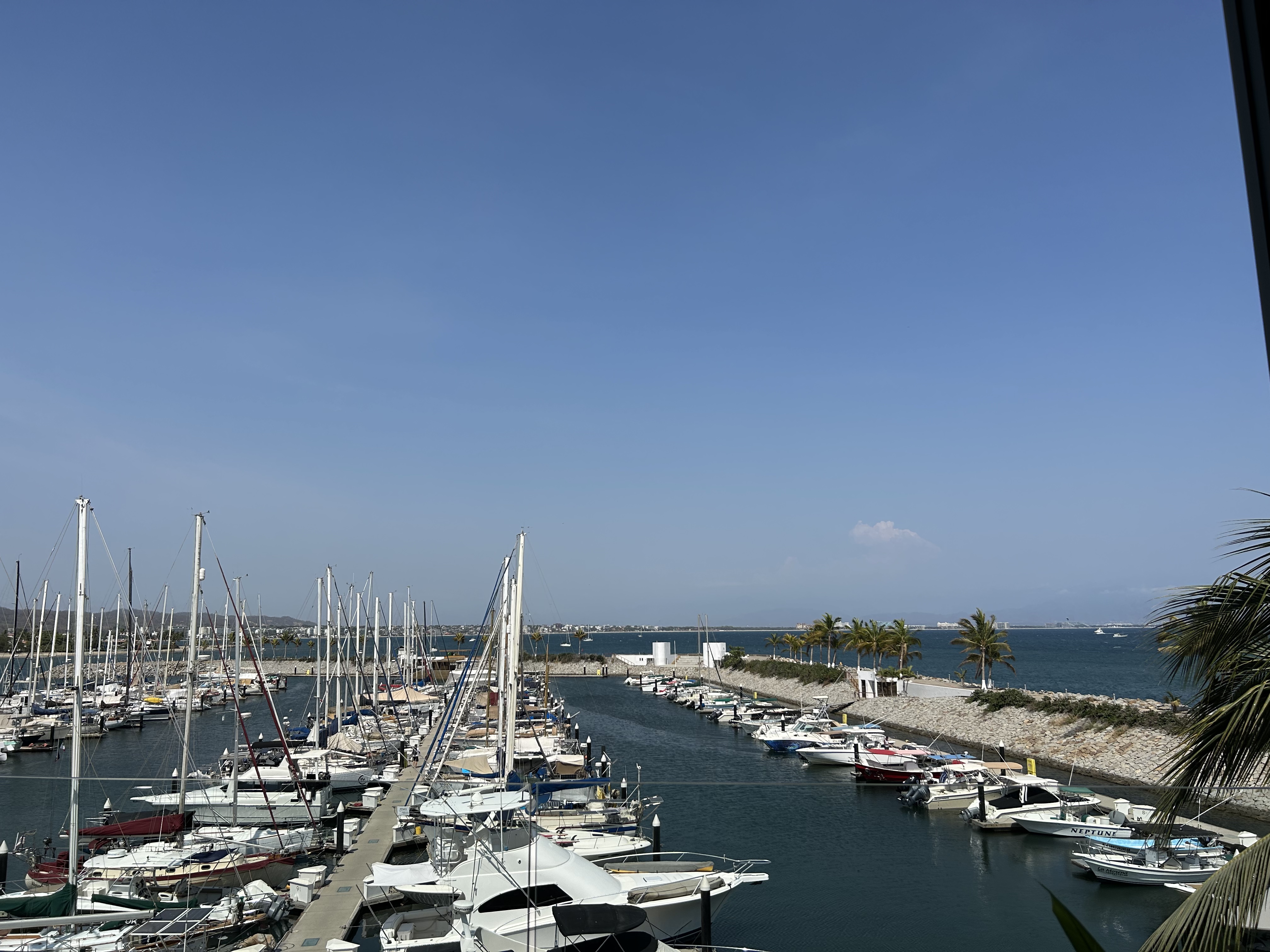 Restaurante Frascati image 3