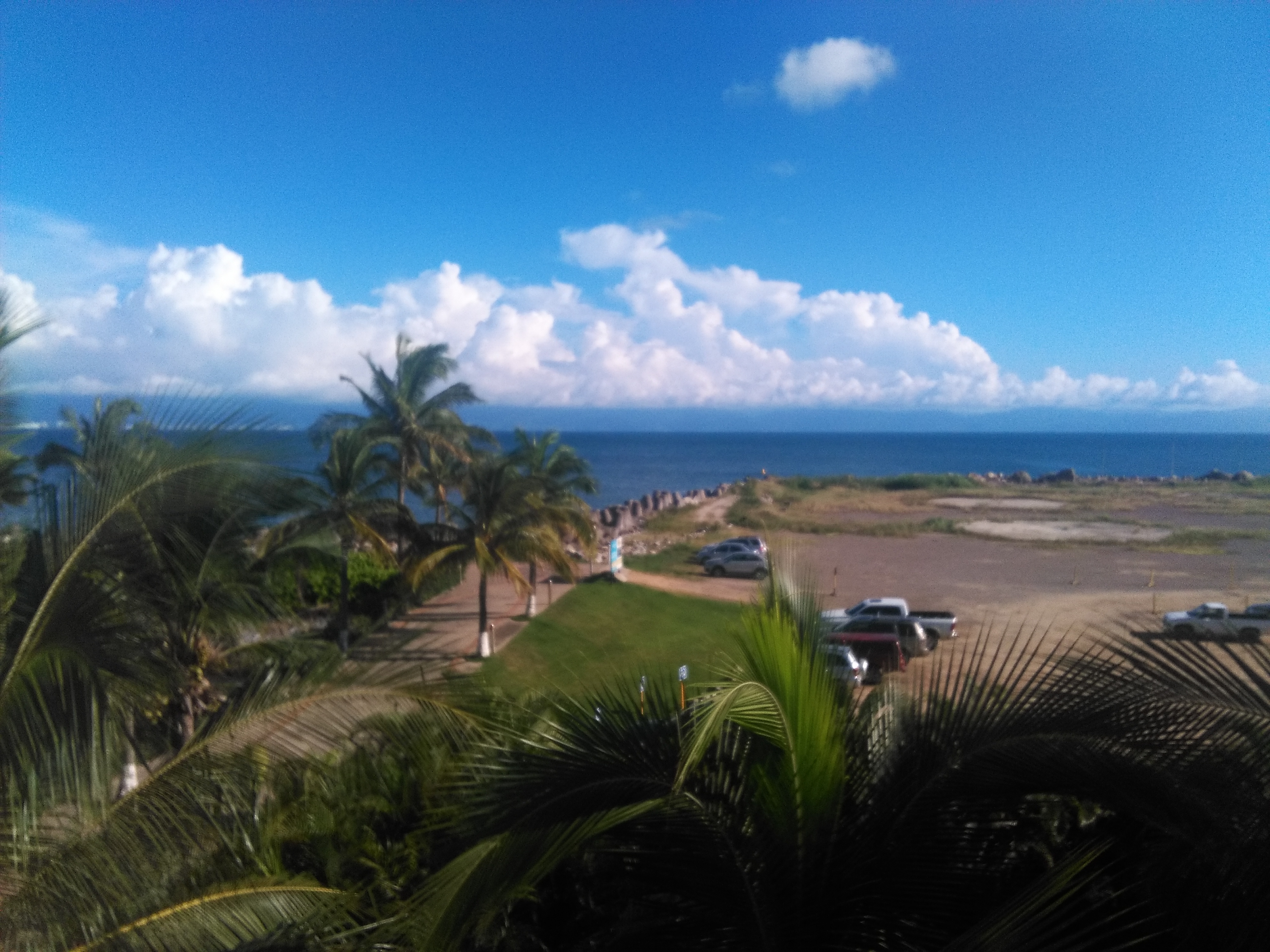 Restaurante Frascati image 8