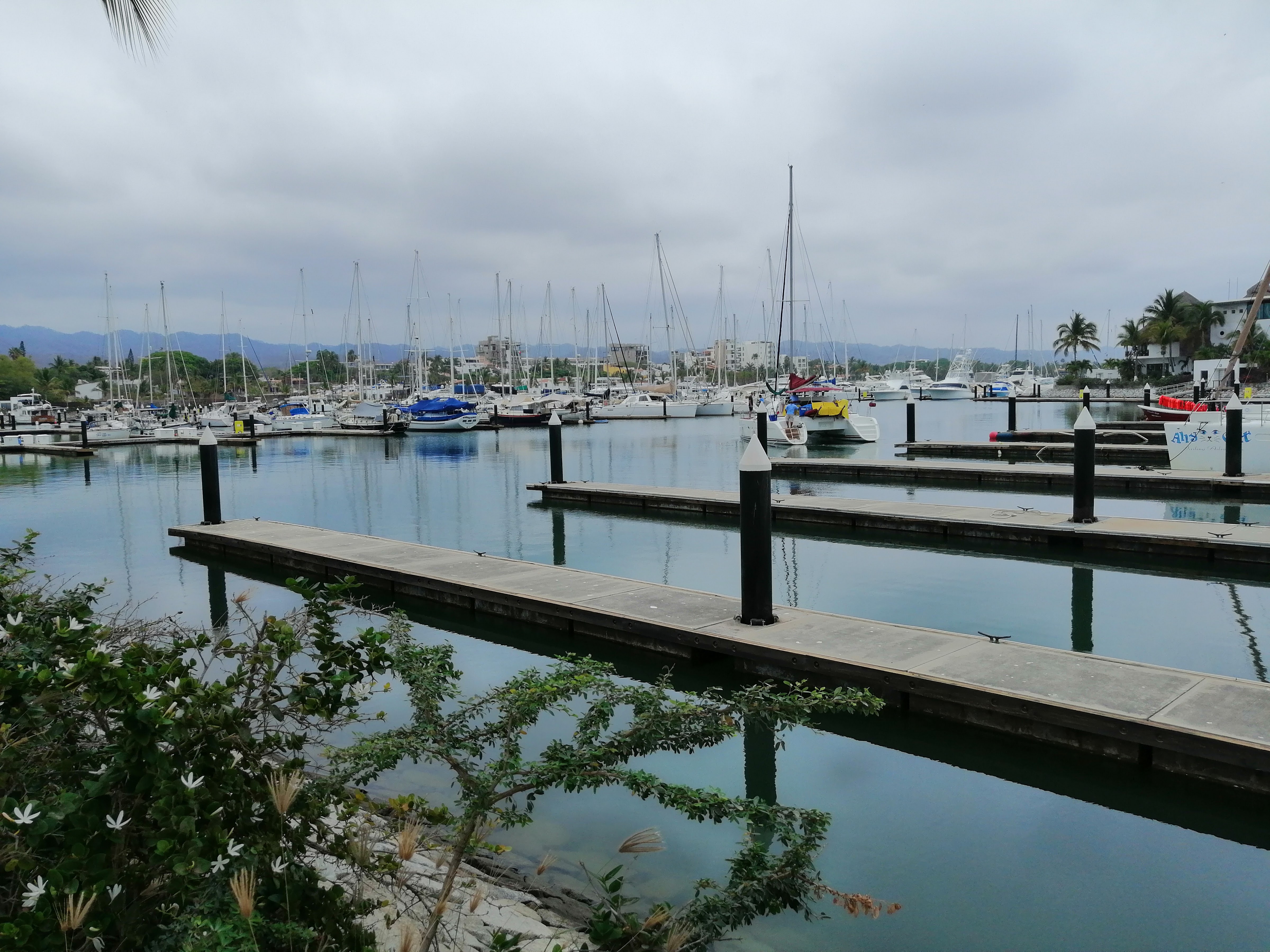 Fonda el Profe image 9