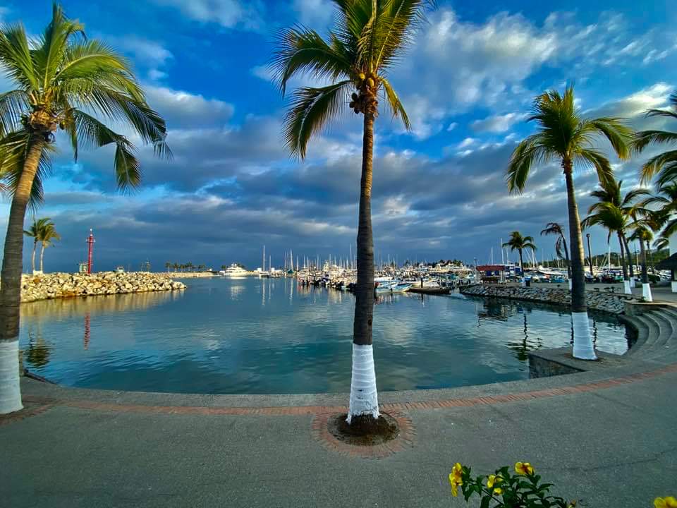 Marina Bar & Grill by Oso's image 5