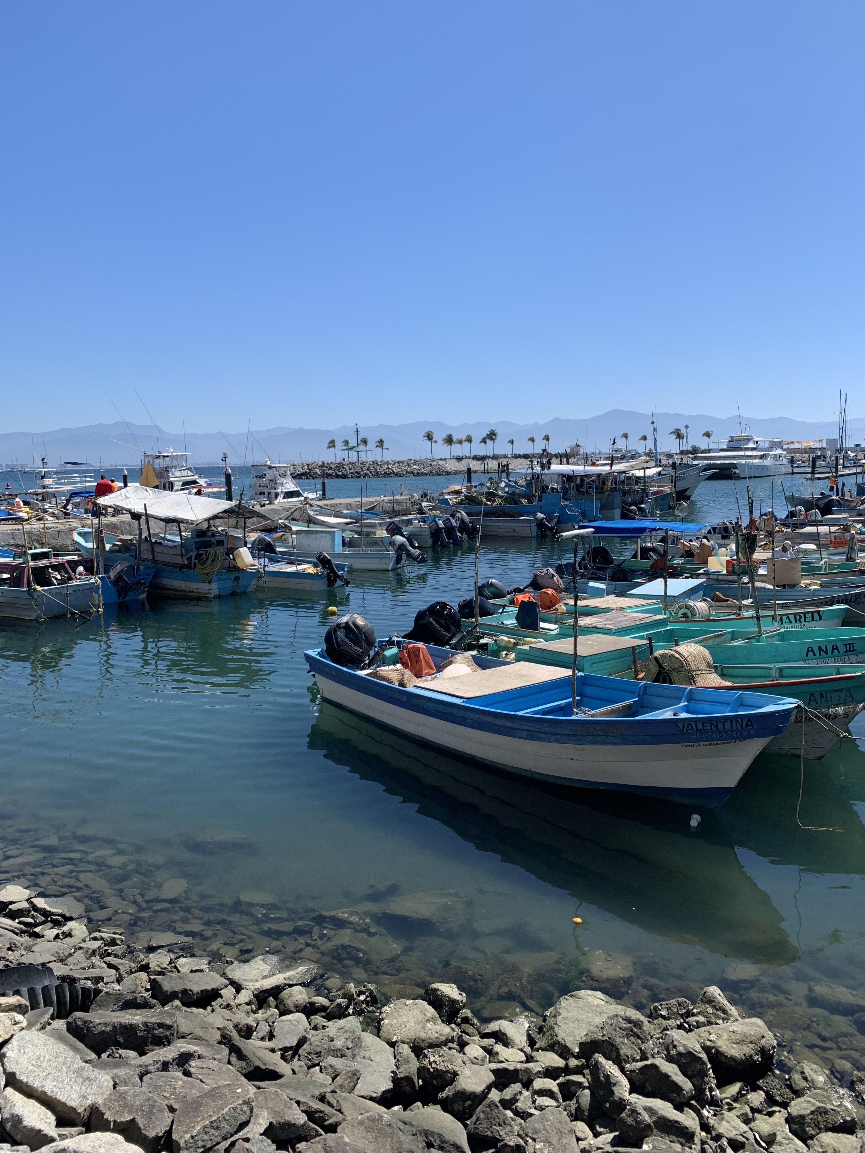 Marina Bar & Grill by Oso's image 7