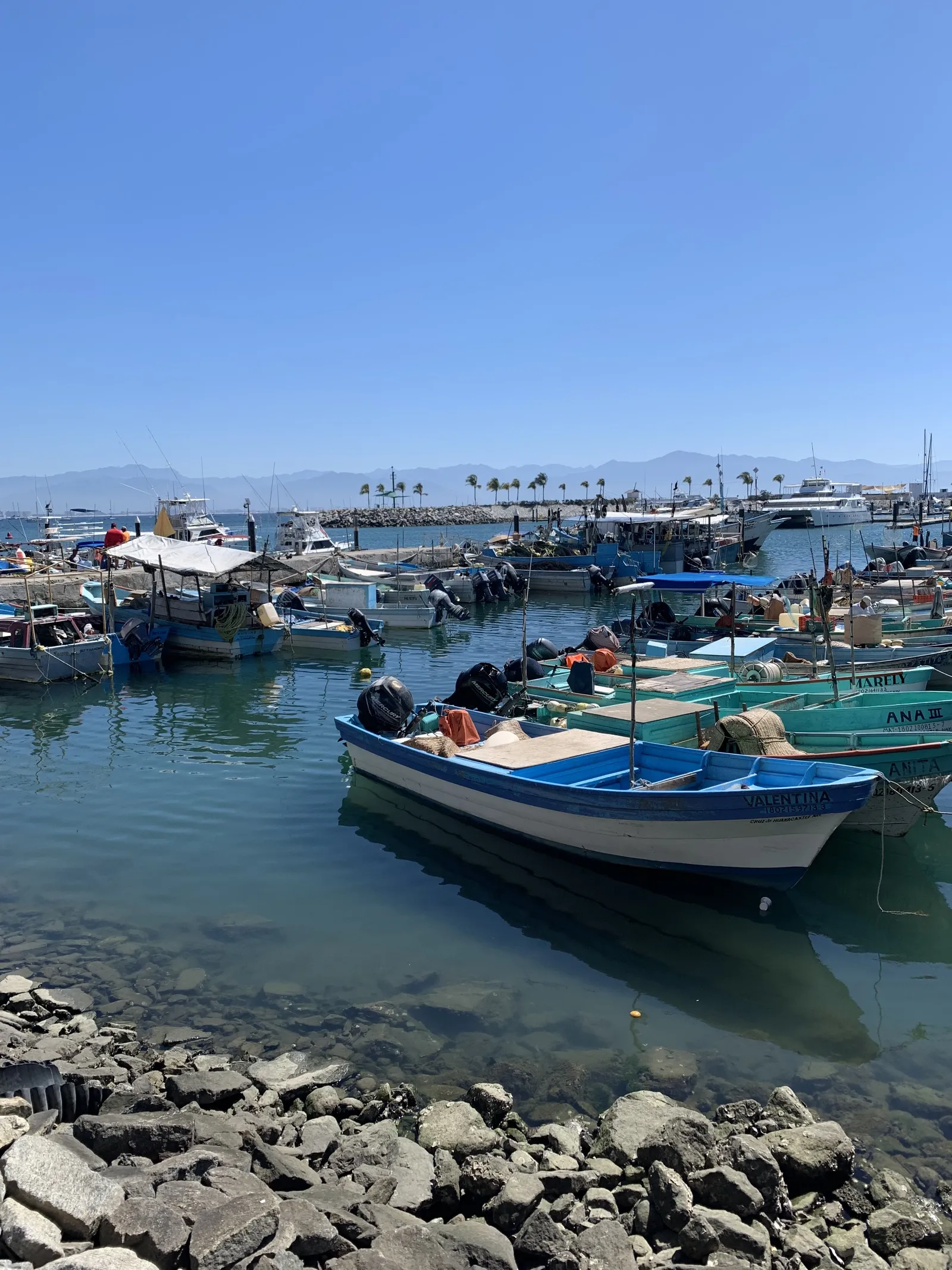 Marina Bar & Grill by Oso's image 7