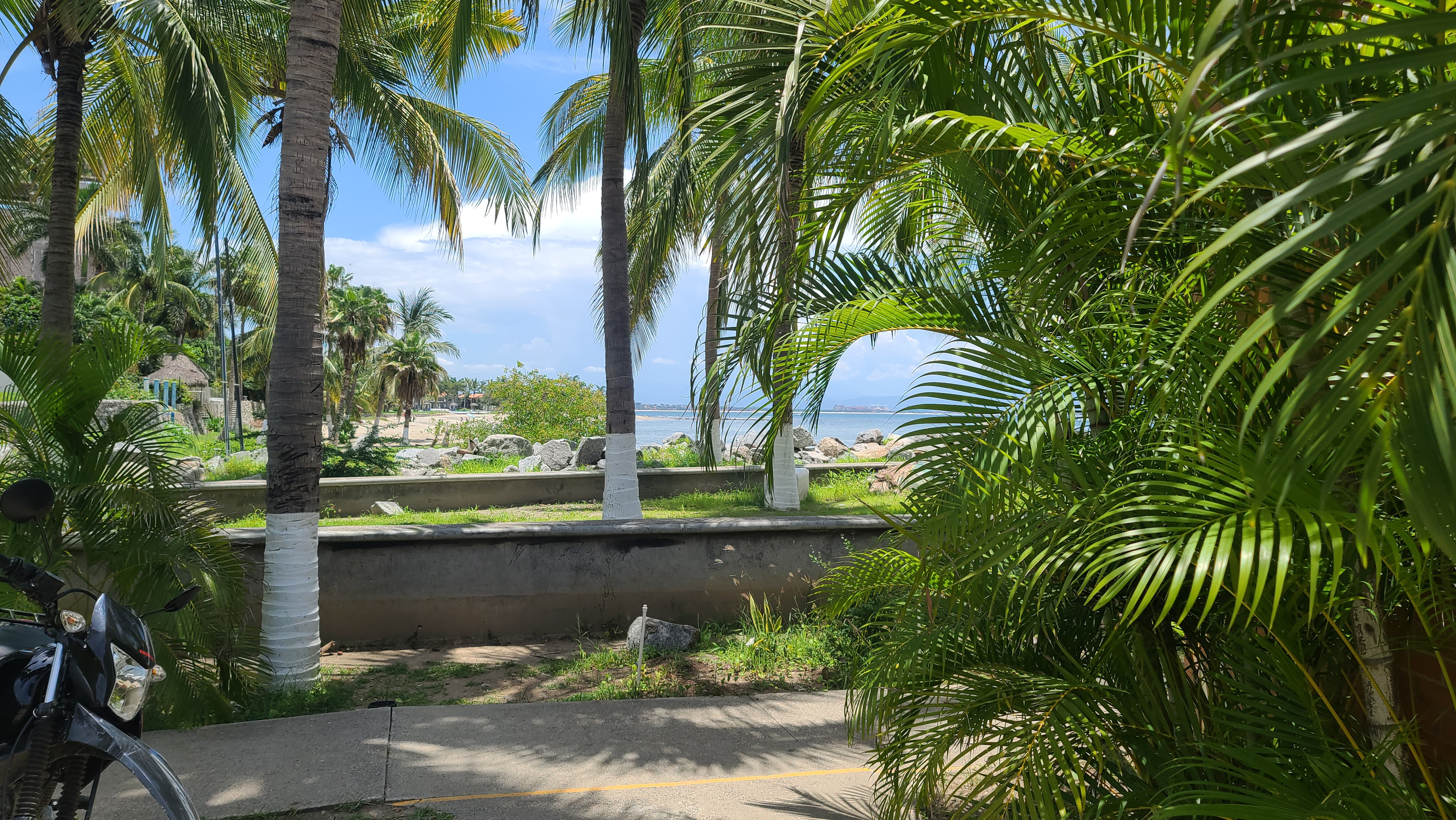 Marina Bar & Grill by Oso's image 10