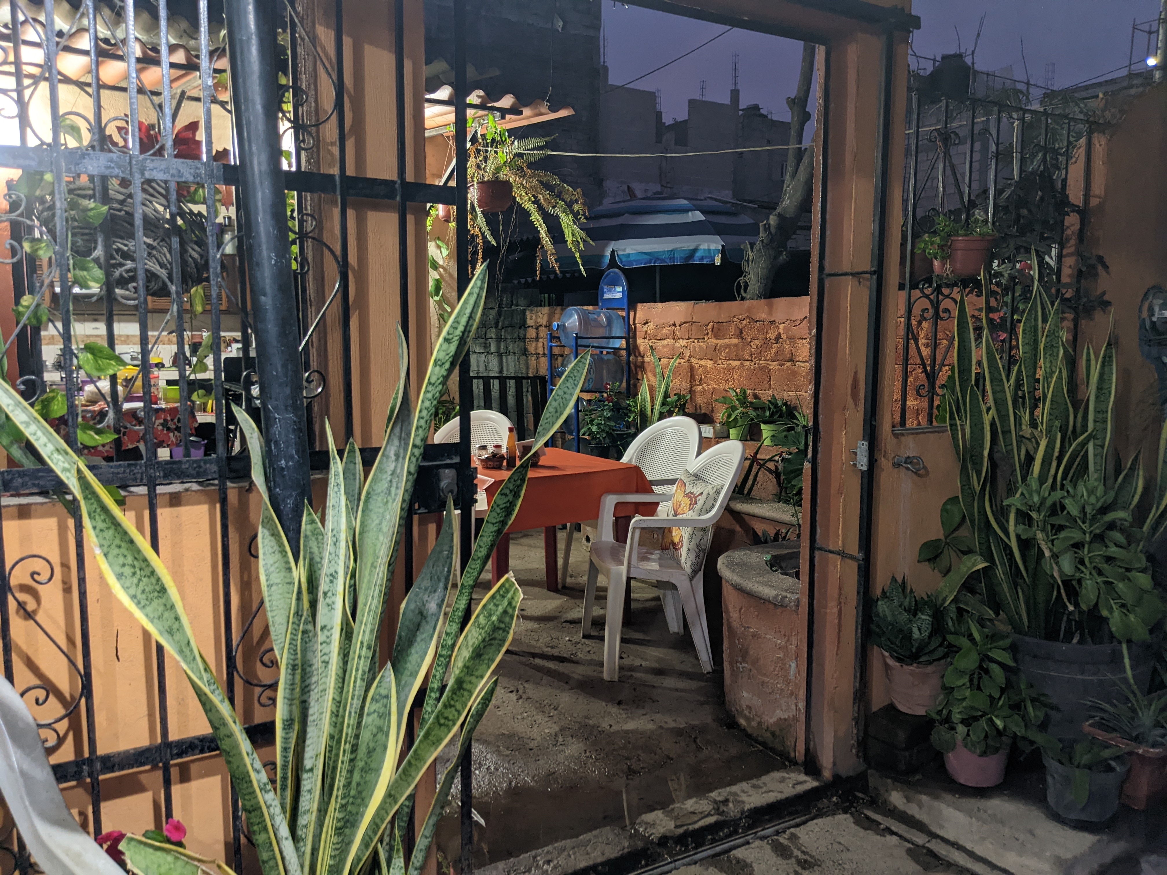 Antojitos Mexicanos Monica image 8