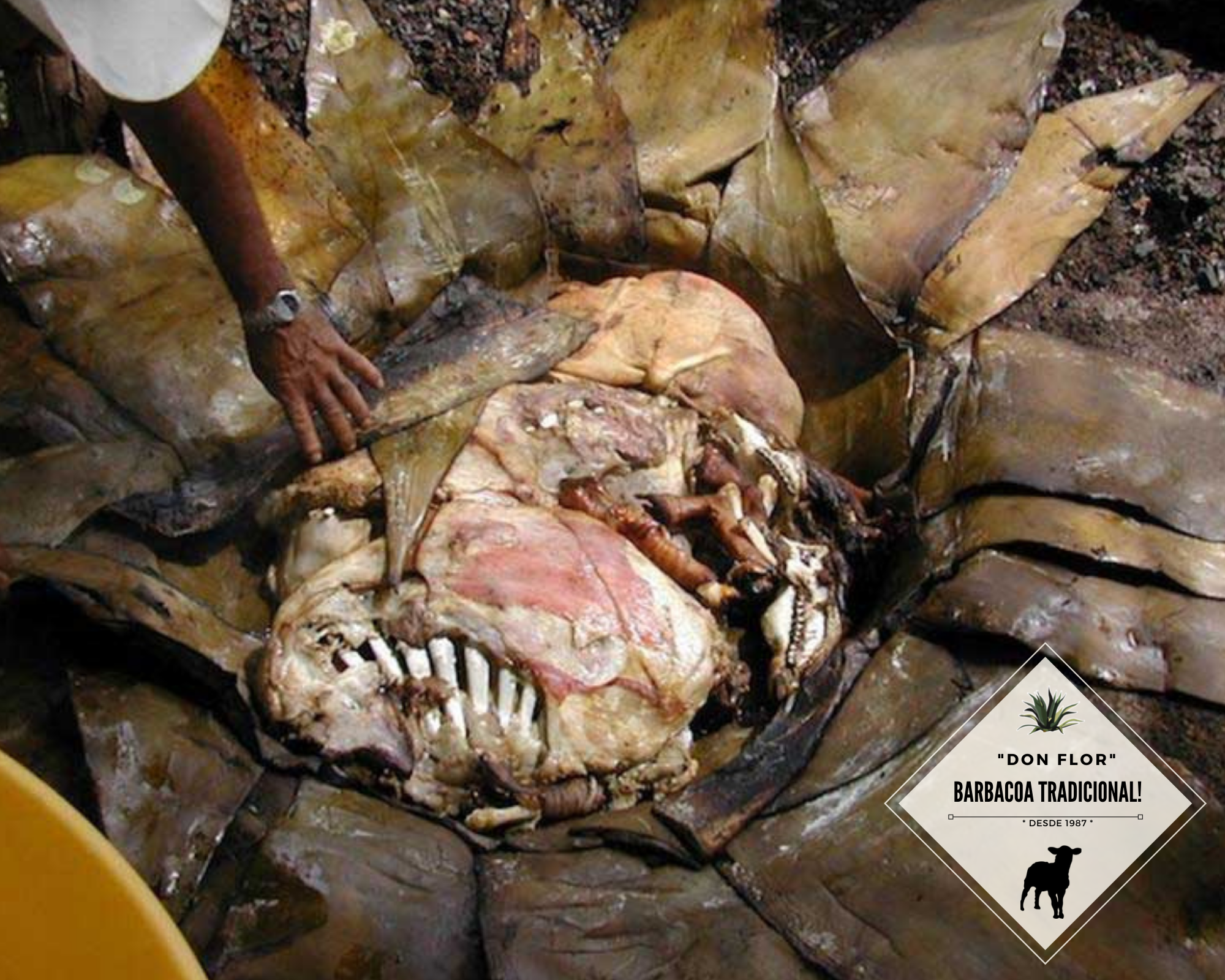 Barbacoa Don Flor image 8