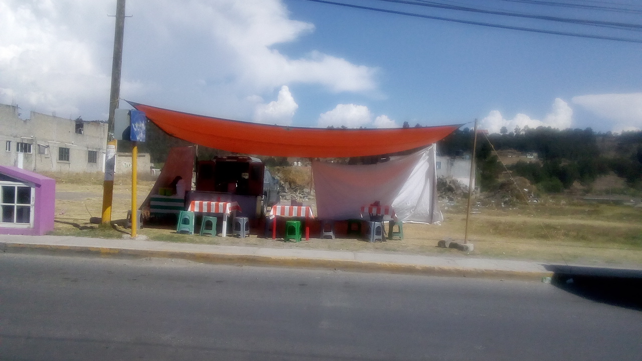 TACOS BERNAL image 1