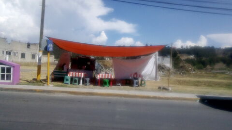 TACOS BERNAL image 1