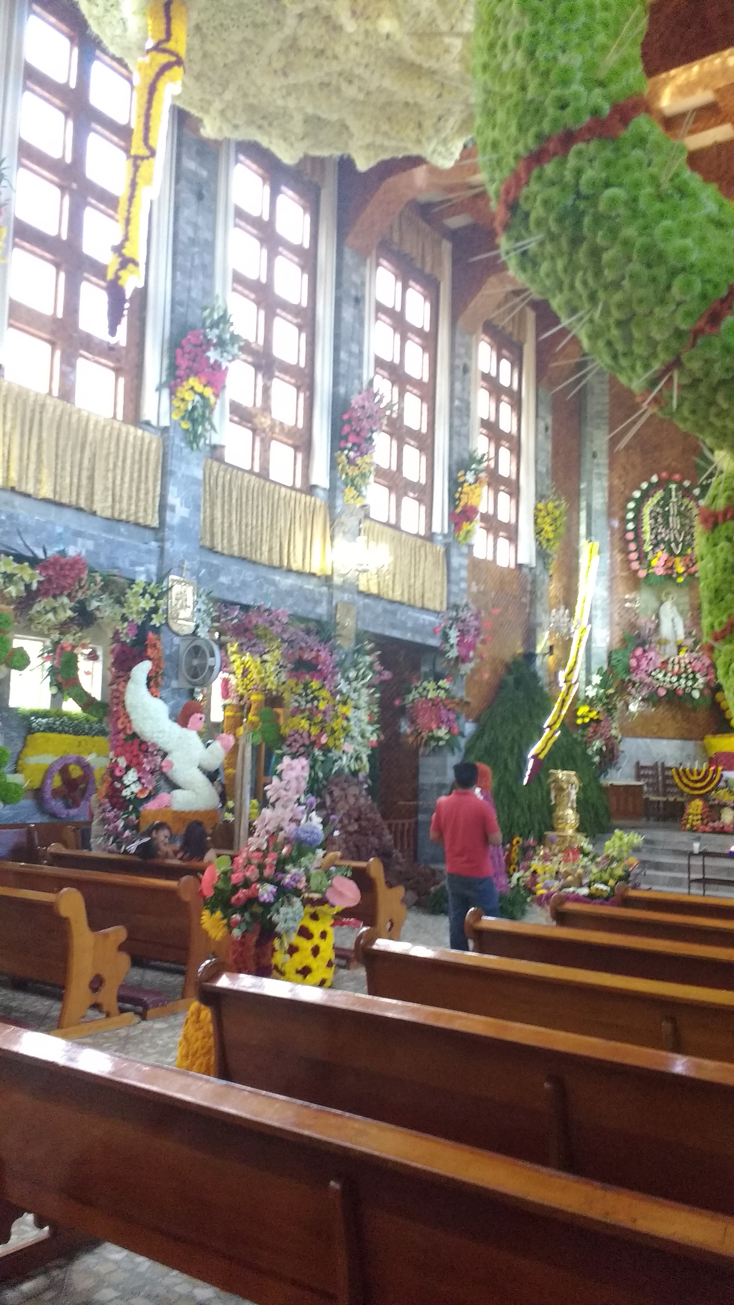 Super Polleria "Lupita" image 4