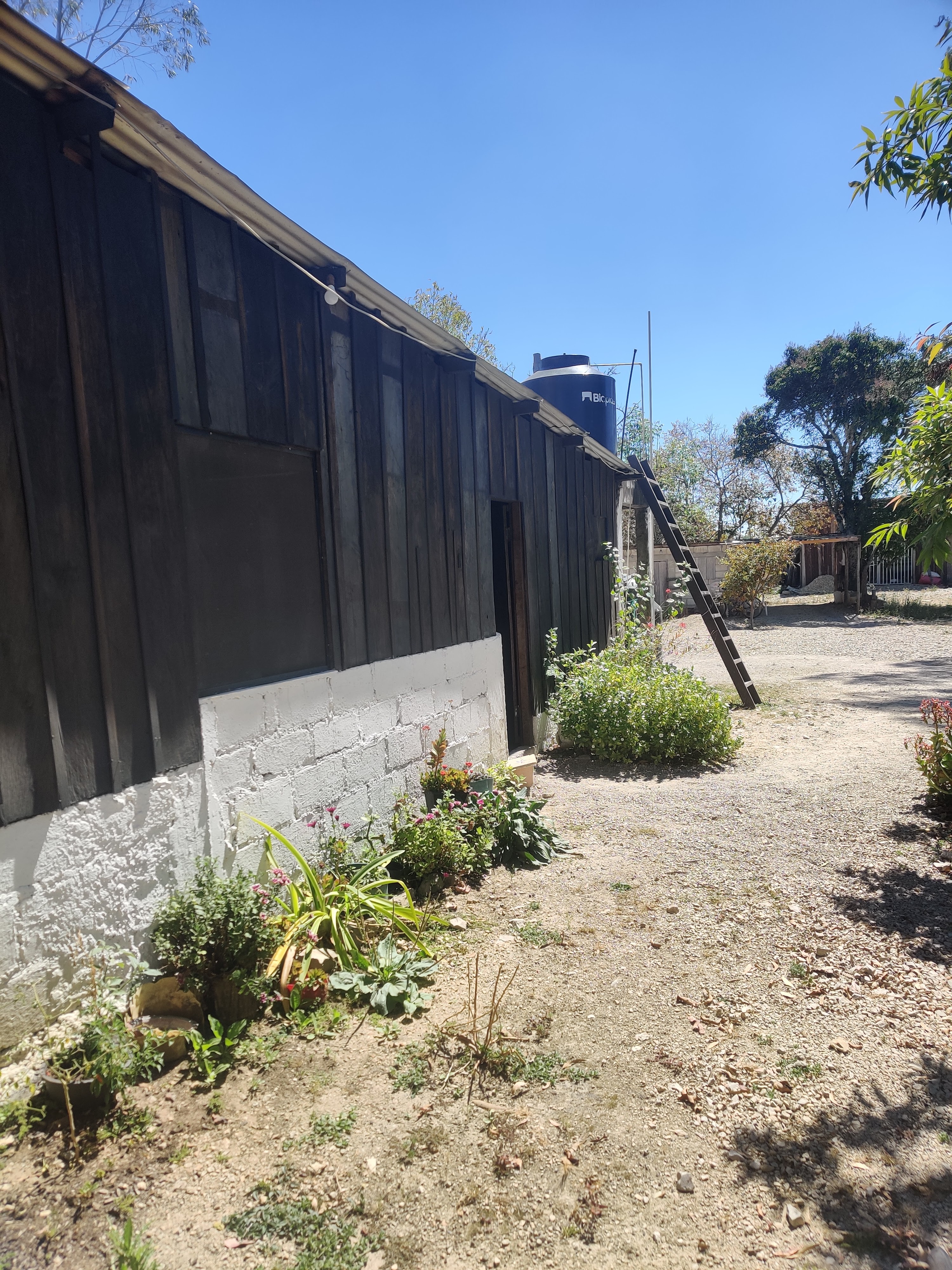 Restaurant "LAS TABLITAS" image 3