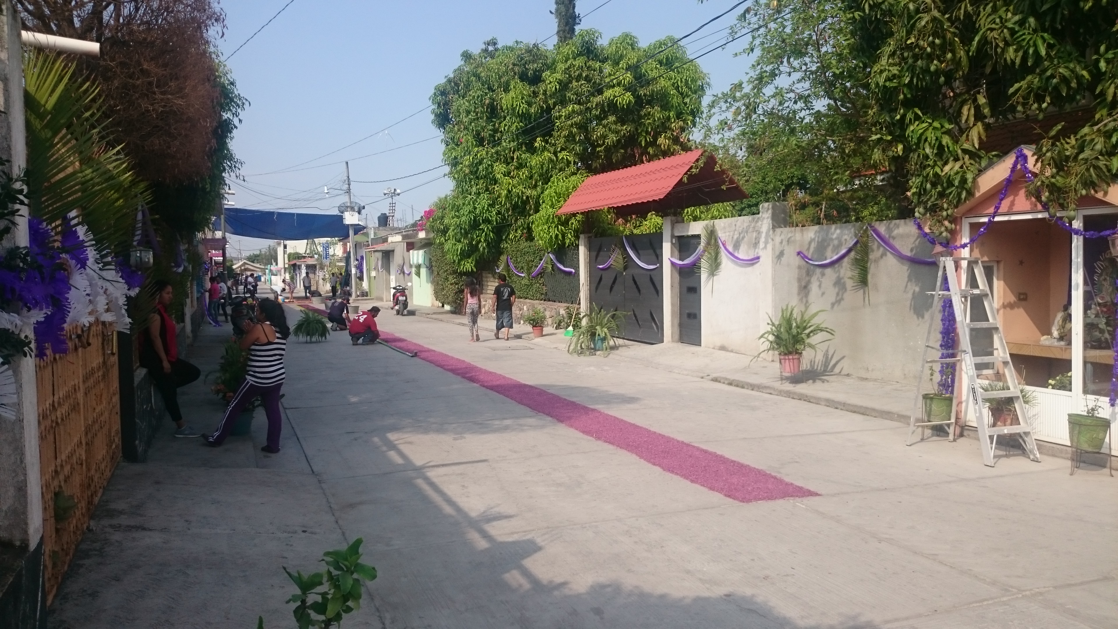 PAPAS FRITAS LOS PAQUINES image 2