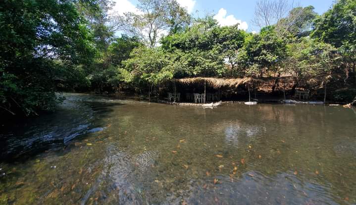 Balneario El Manantial image 2