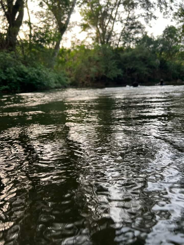 Balneario El Manantial image 3