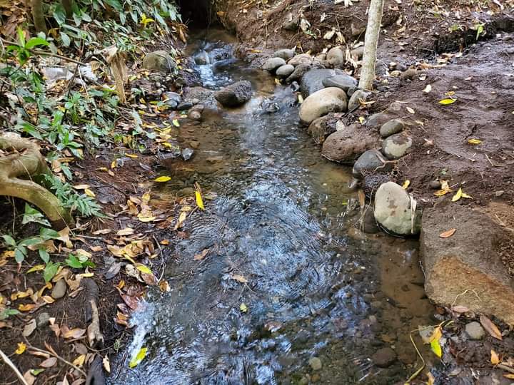 Balneario El Manantial image 8