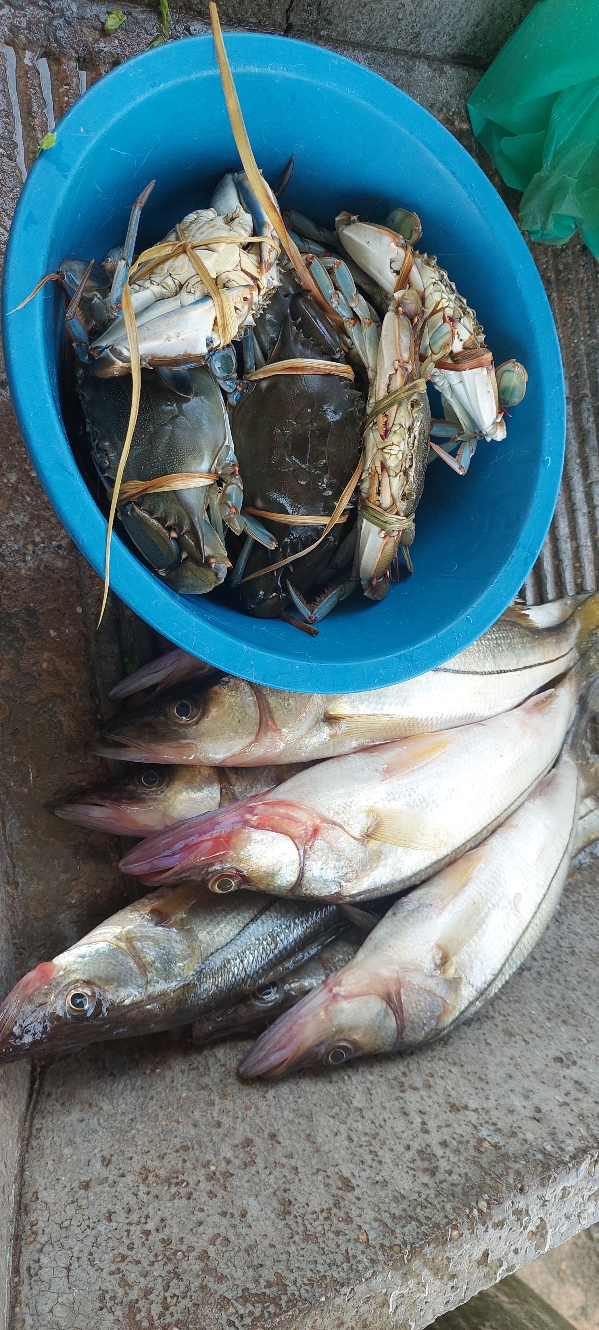 Restaurant de mariscos (La casa de lolita) image 7