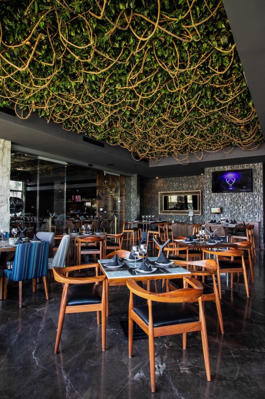 Mochomos Aguascalientes image 1