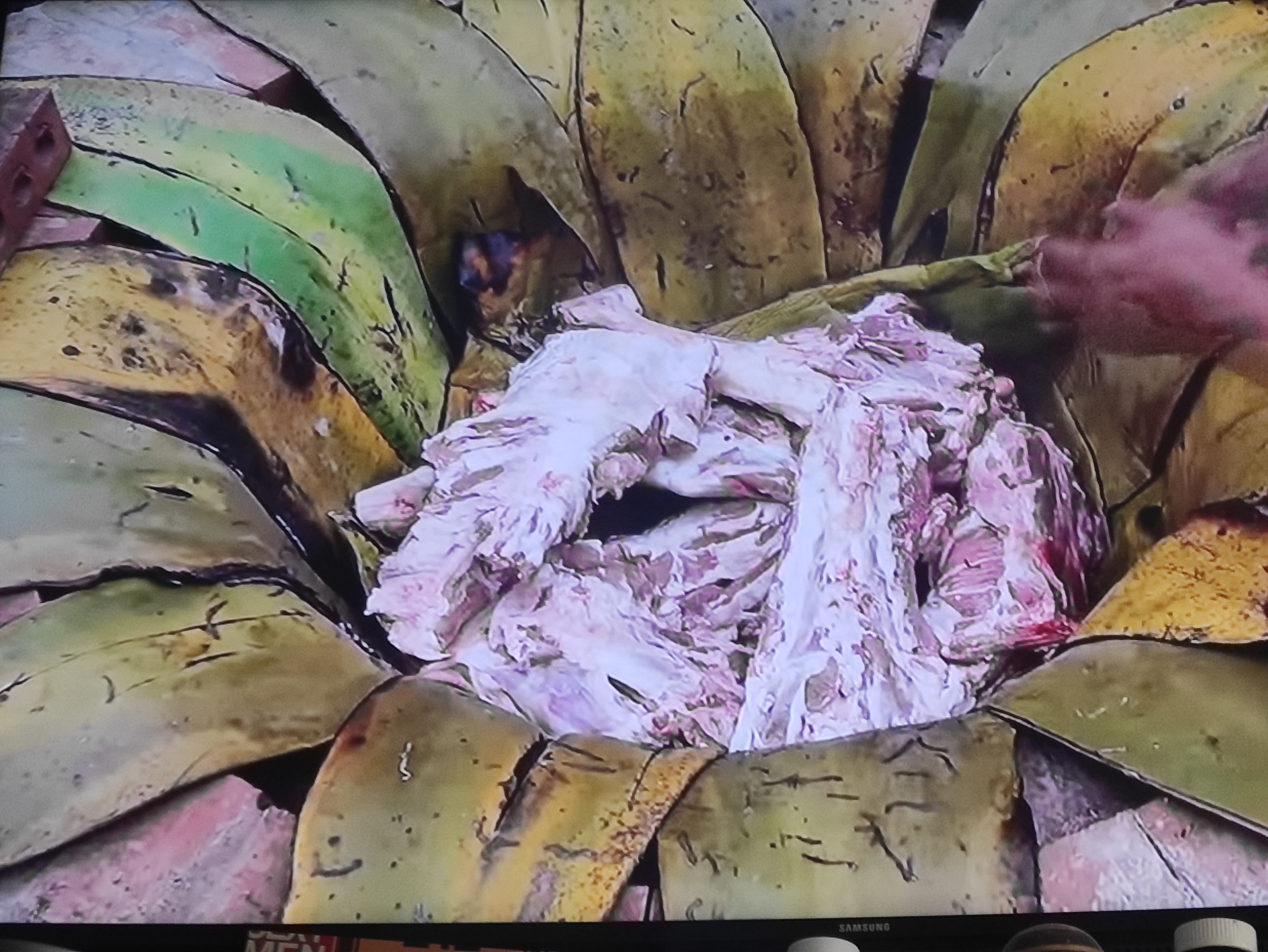 Los Arroyo - Barbacoa image 2