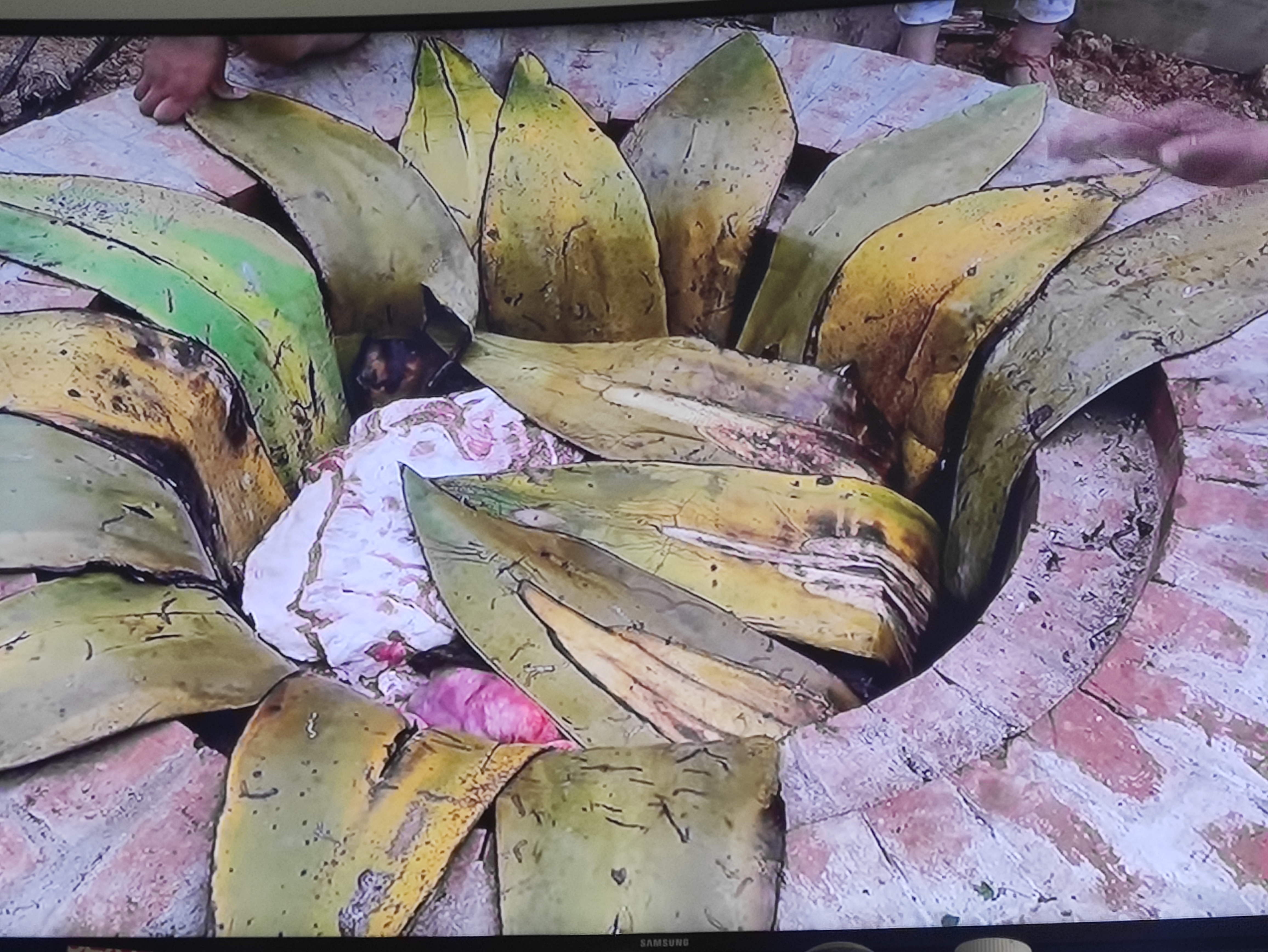 Los Arroyo - Barbacoa image 8