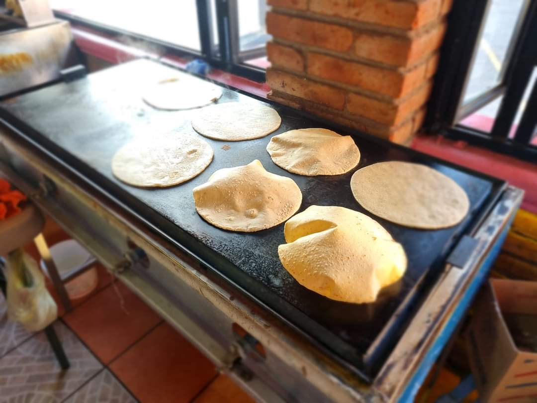 Las gordibuenas Jesús María image 7