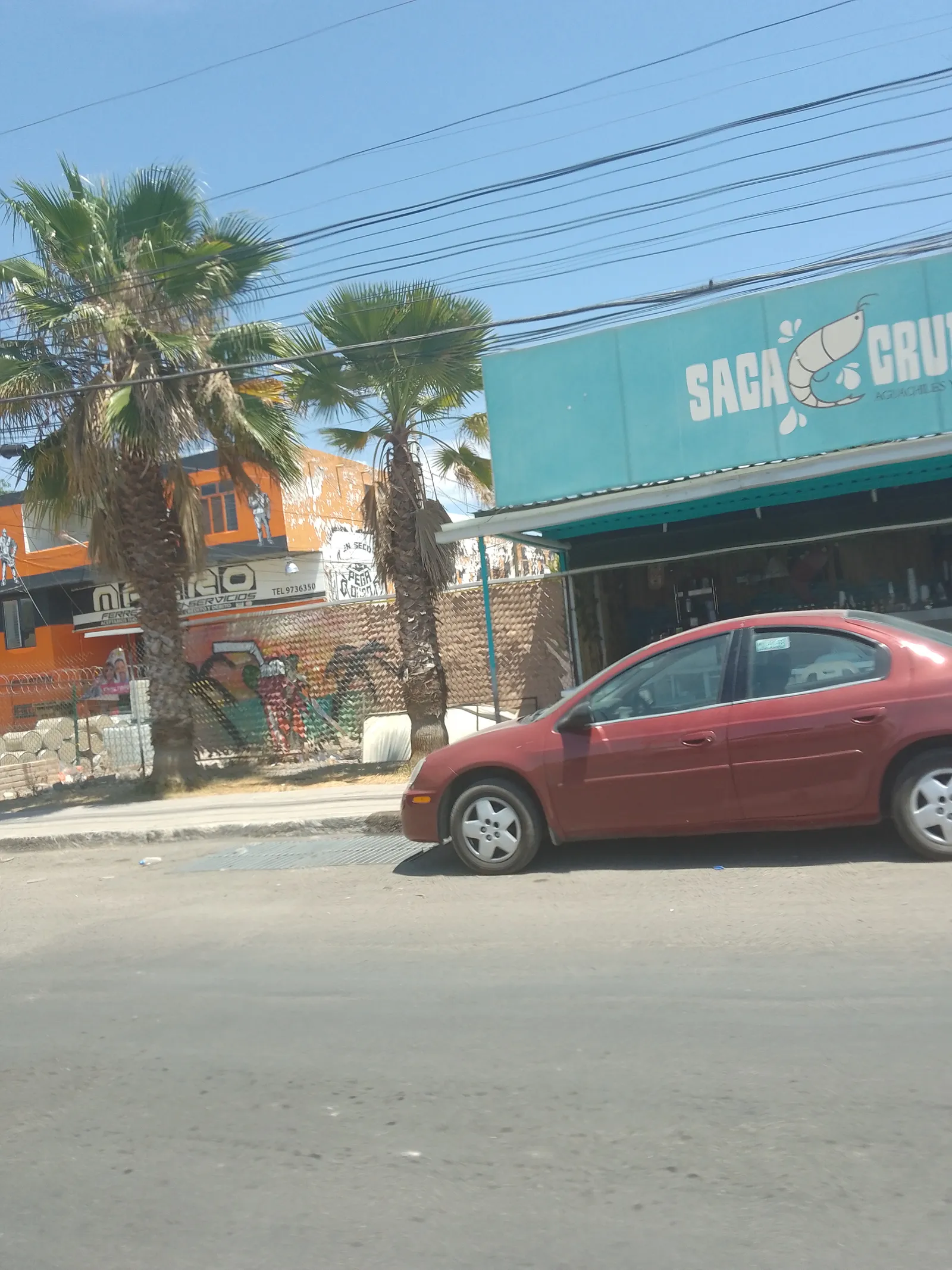 Sacacrudas image 2