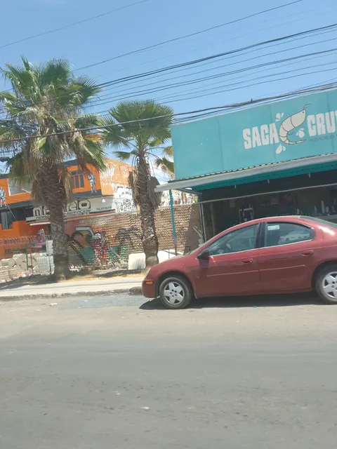 Sacacrudas image 2