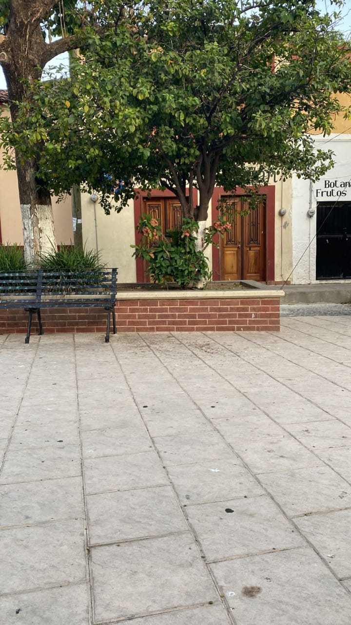 Mariscos Amatlán image 7