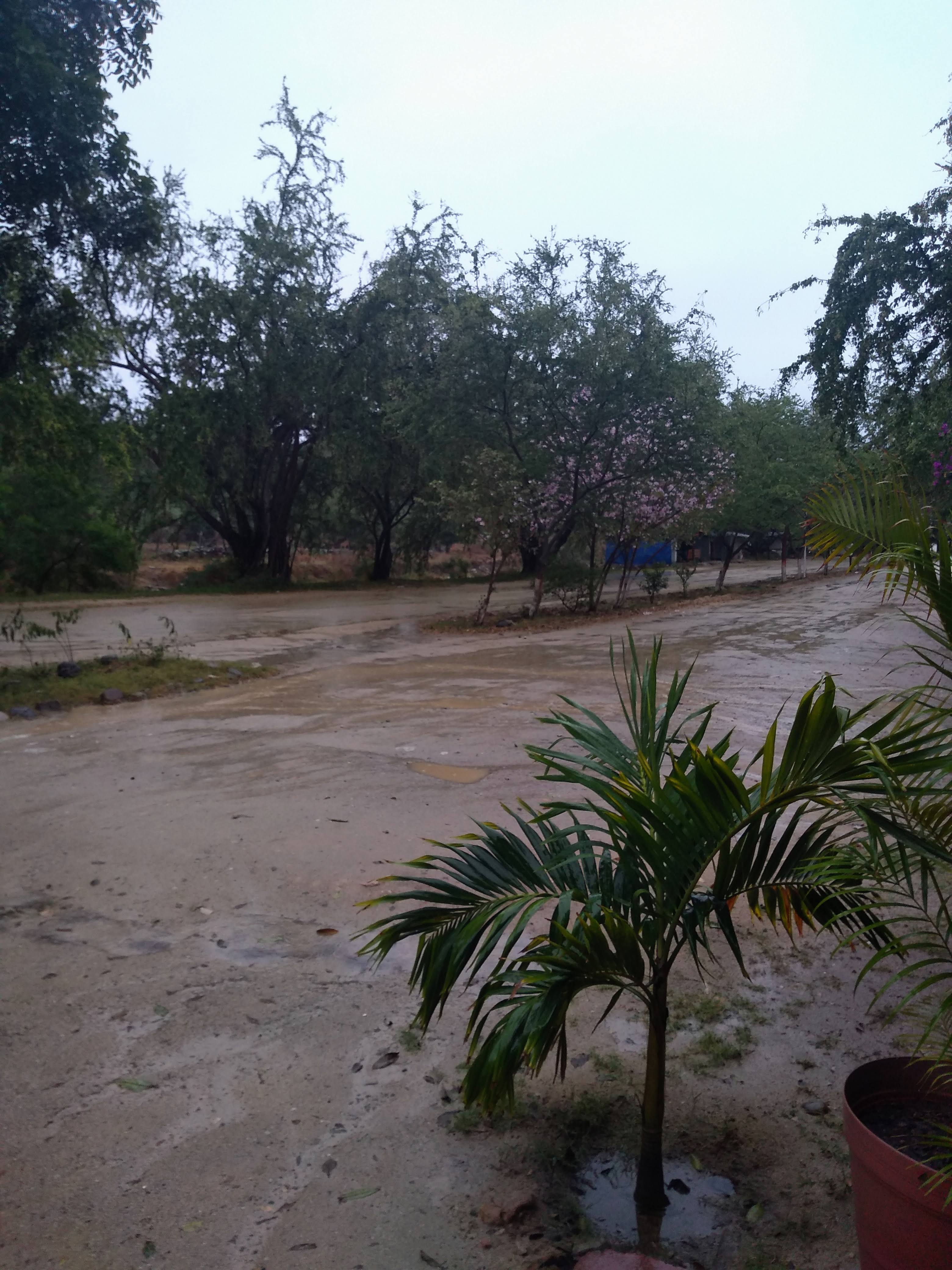 La Finca De Piedra image 6