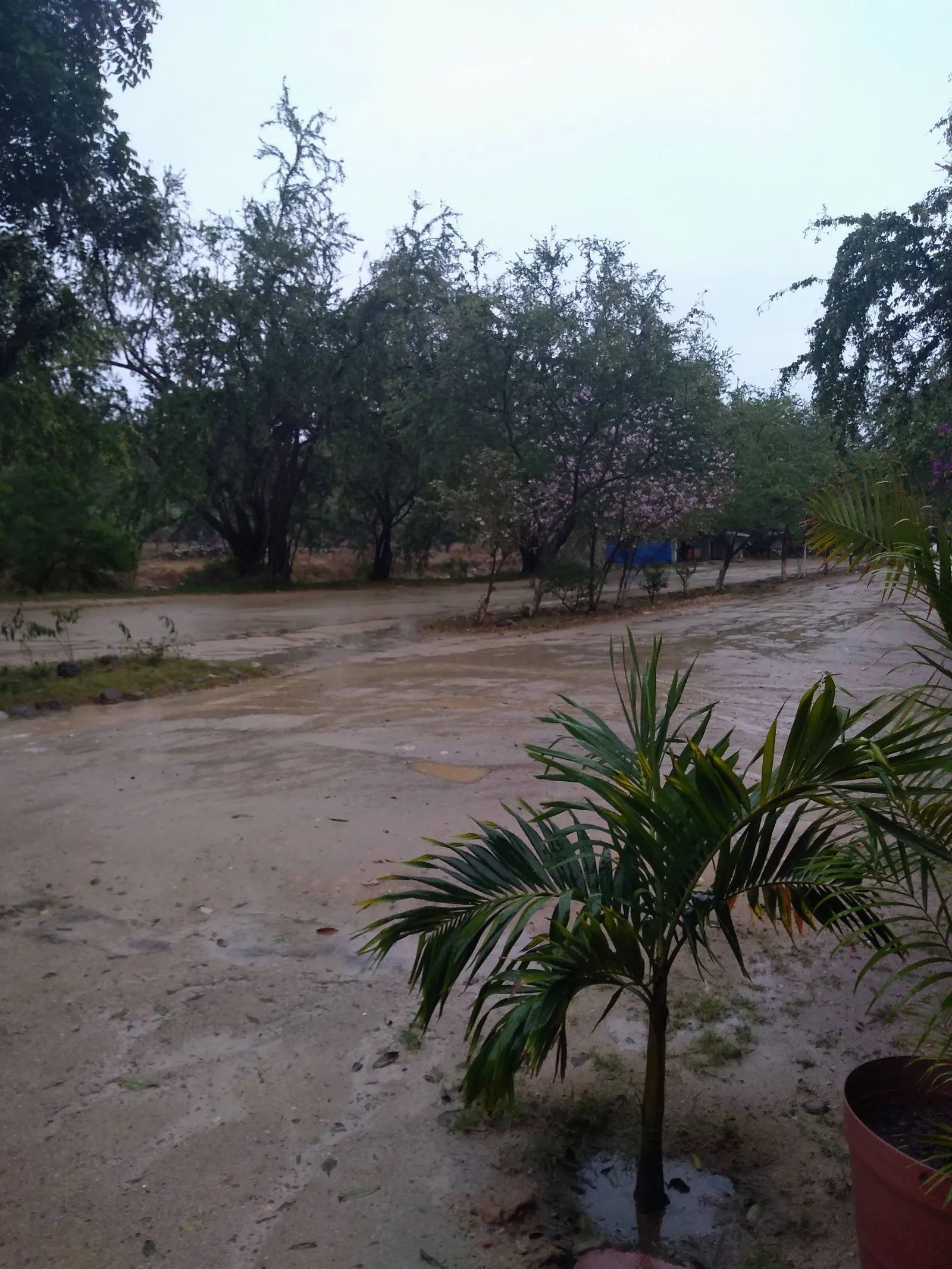 La Finca De Piedra image 6