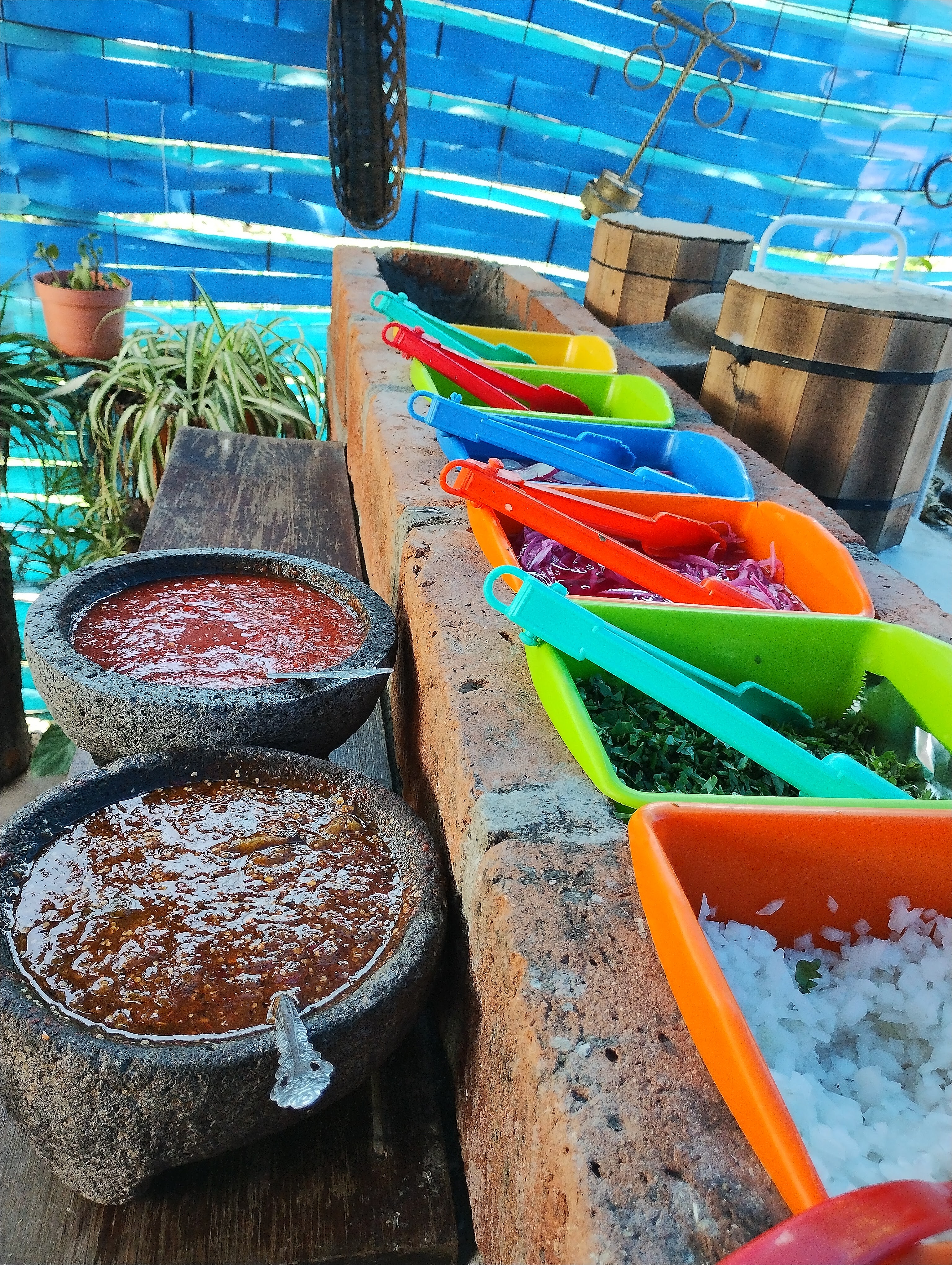 El tejaban de don Beto image 5