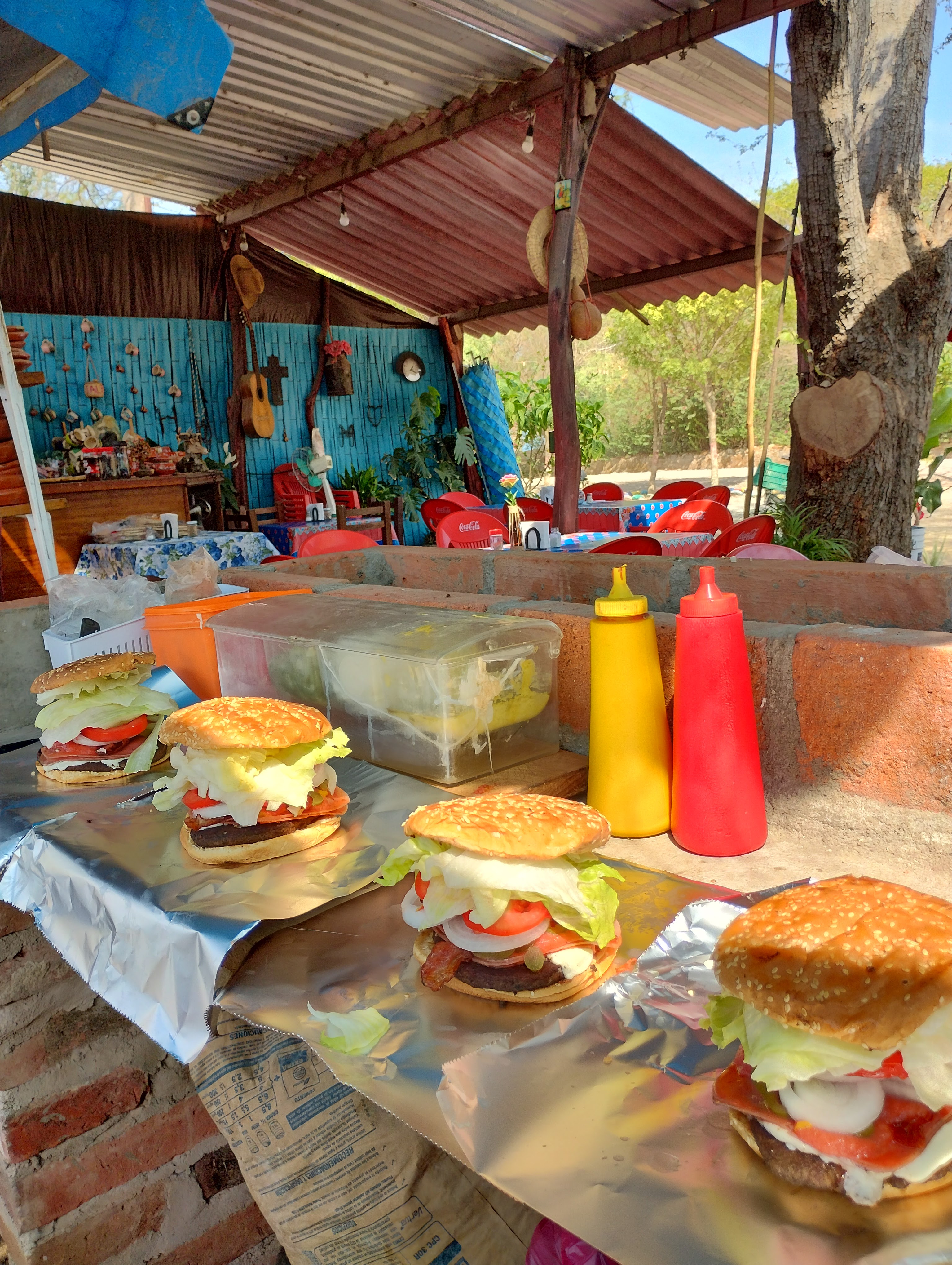 El tejaban de don Beto image 6