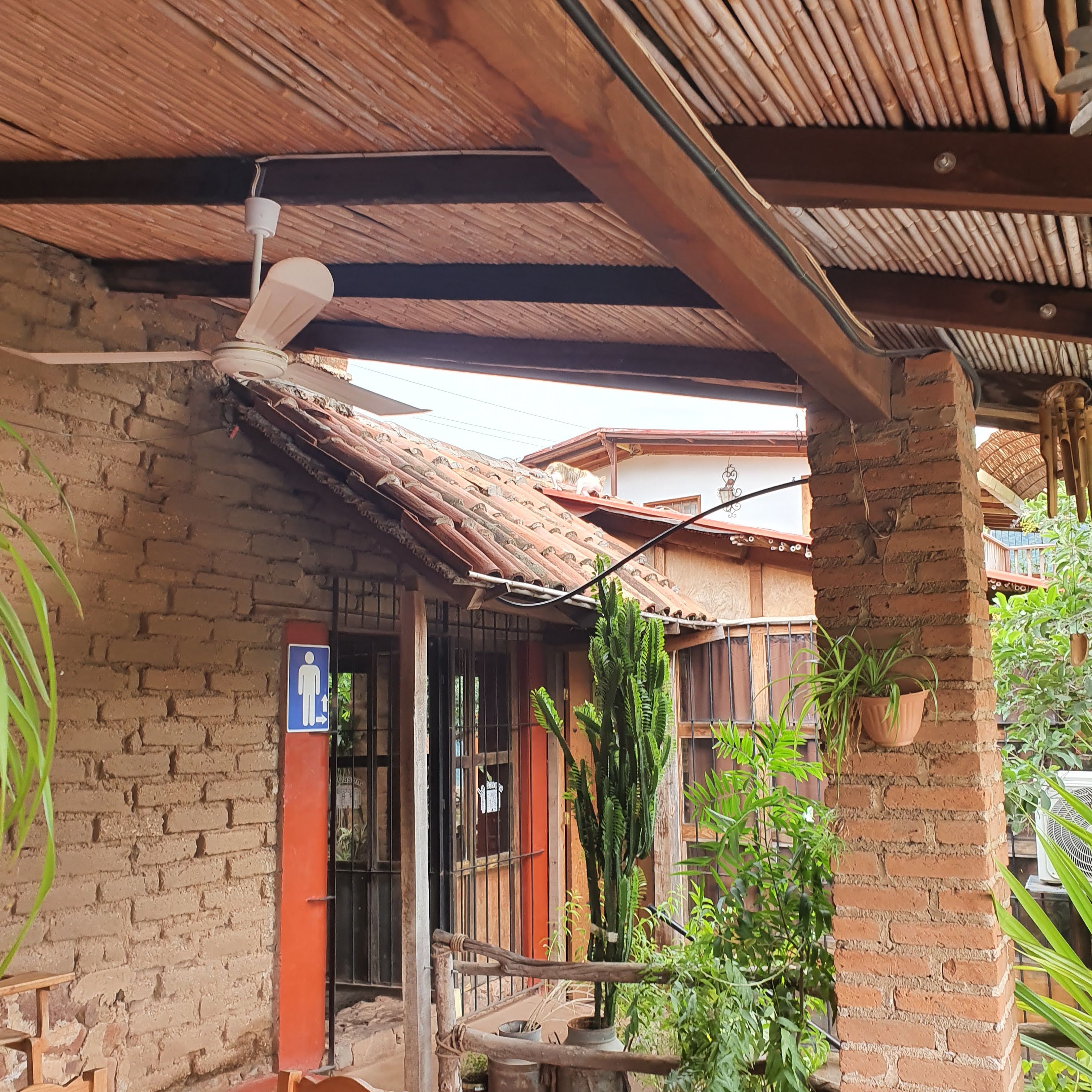 La casona de Ixtlán image 7