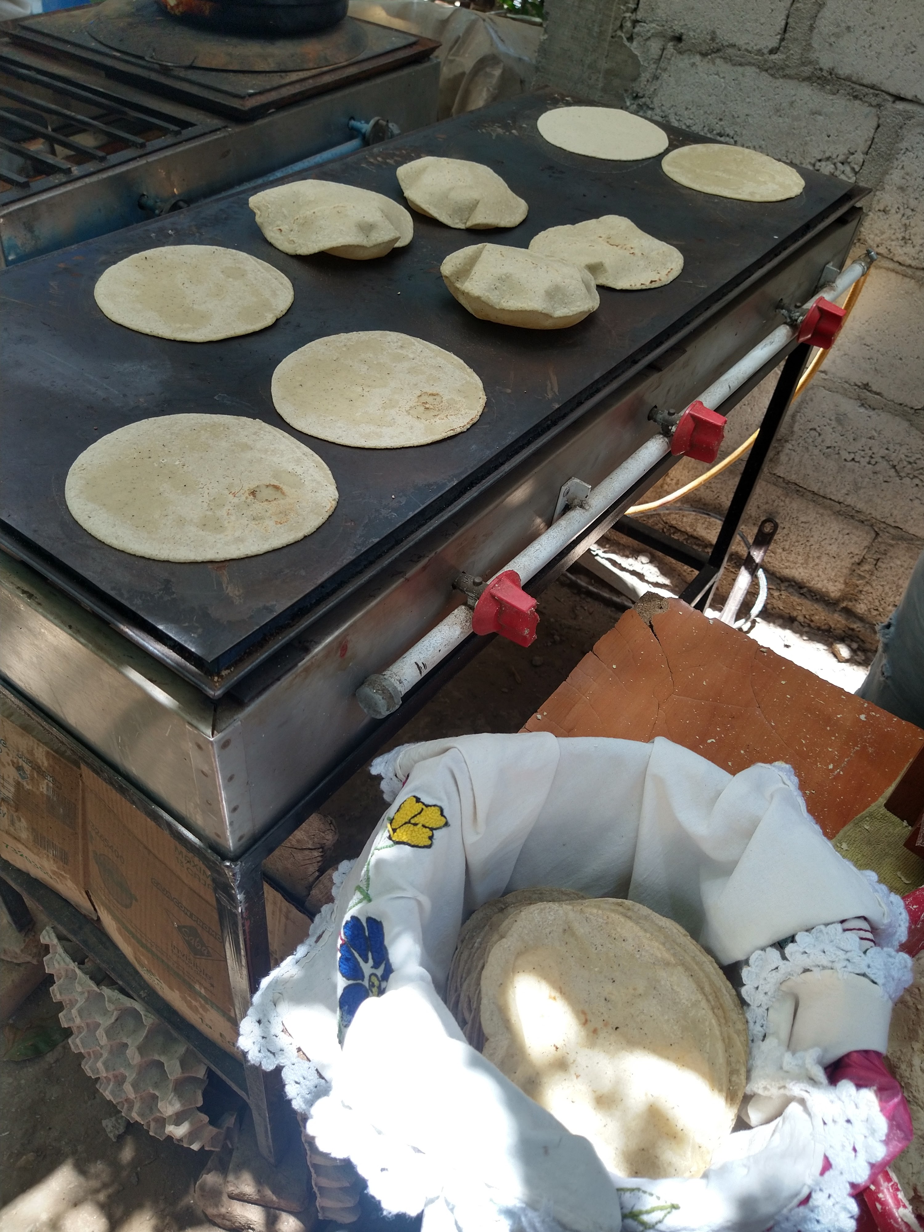 Tortillas de maíz la estancia image 2