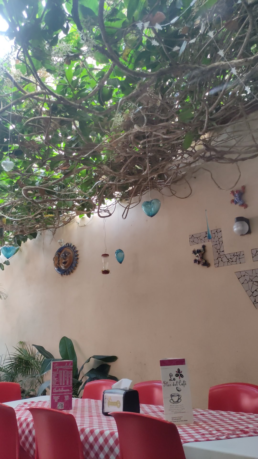 Restaurante Flor Del Cafe image 6