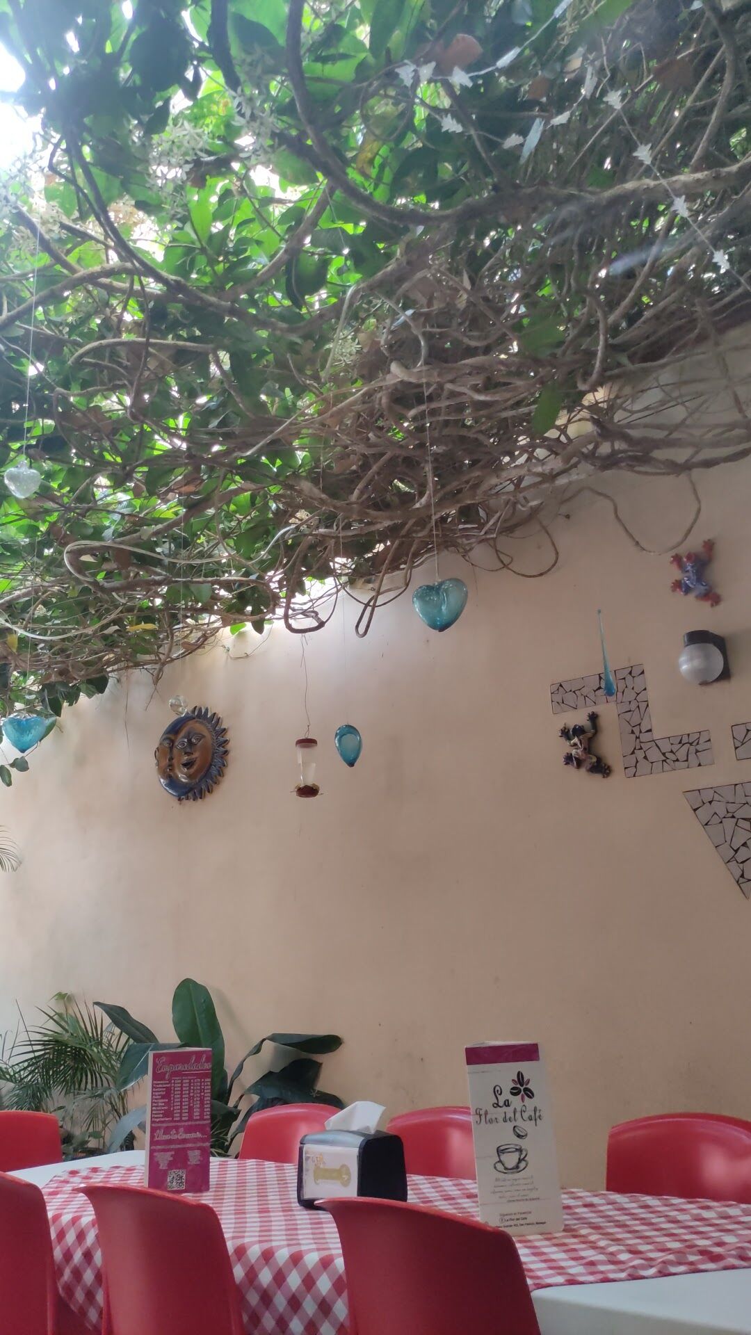 Restaurante Flor Del Cafe image 6