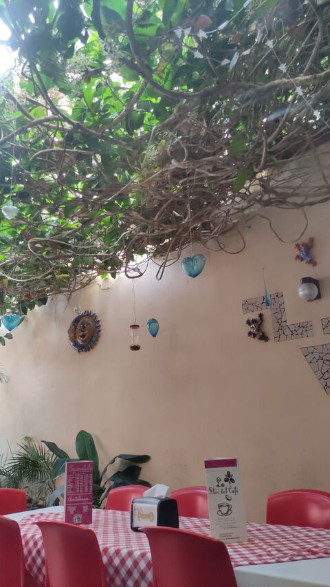 Restaurante Flor Del Cafe image 6