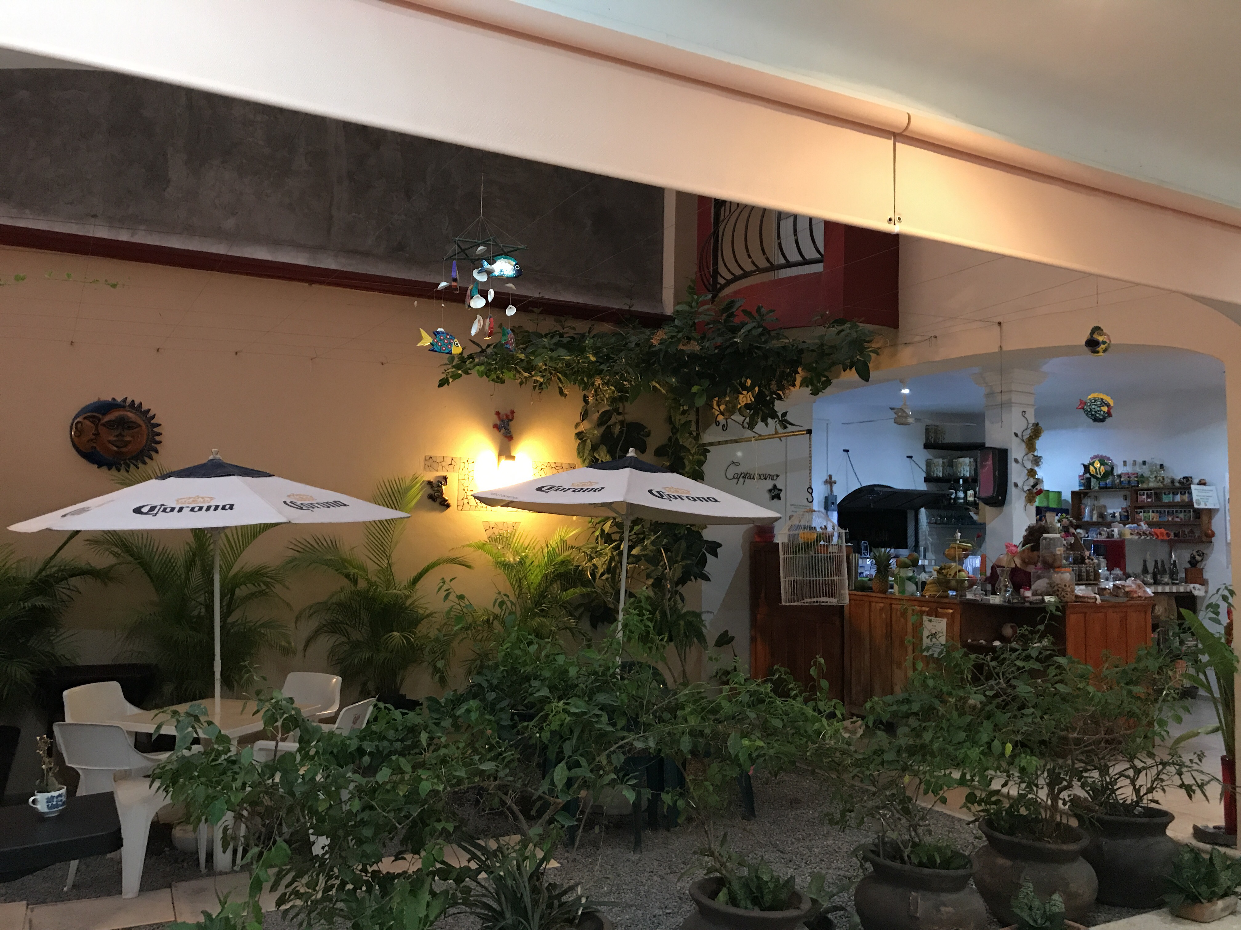 Restaurante Flor Del Cafe image 7