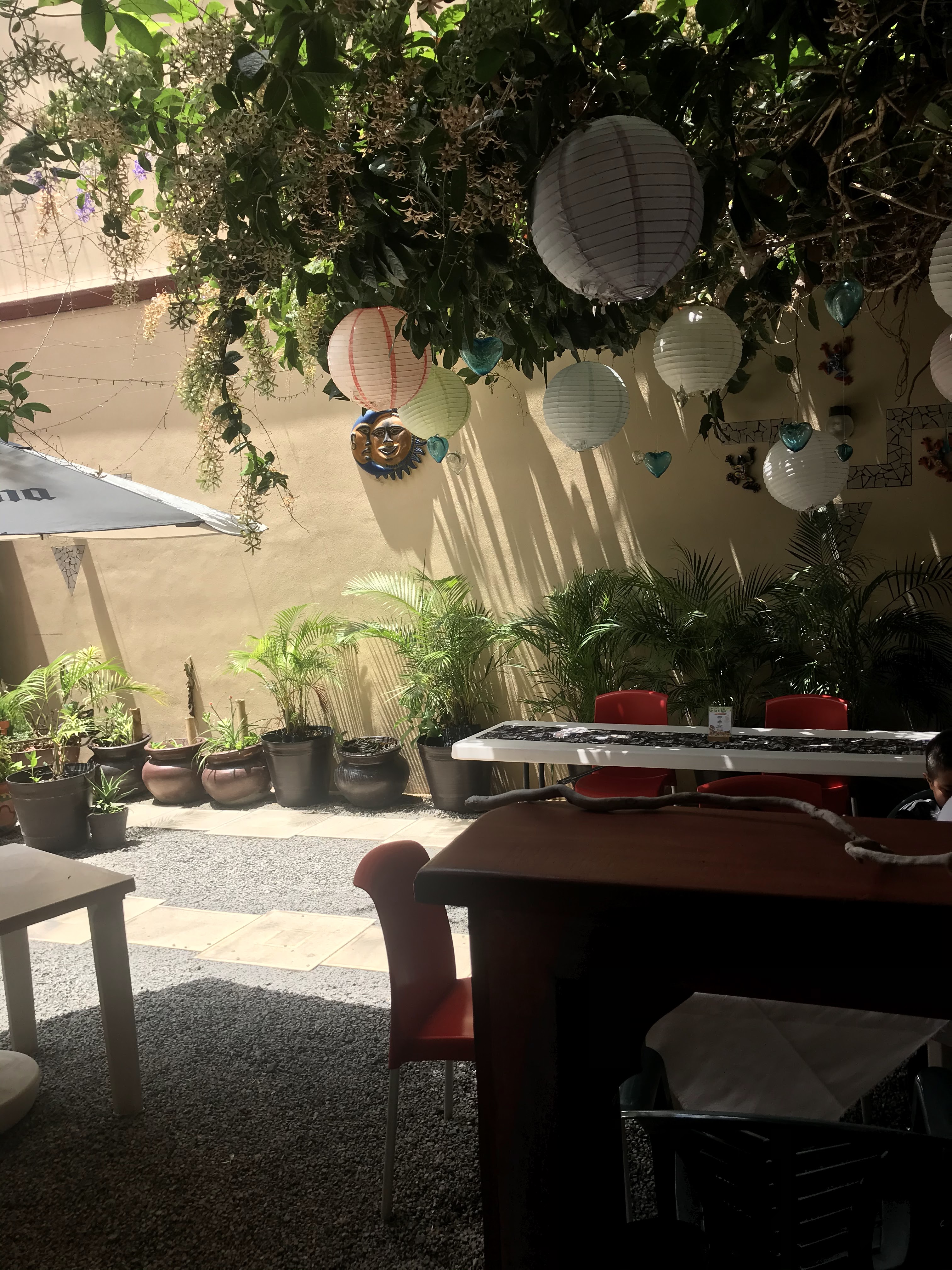 Restaurante Flor Del Cafe image 9