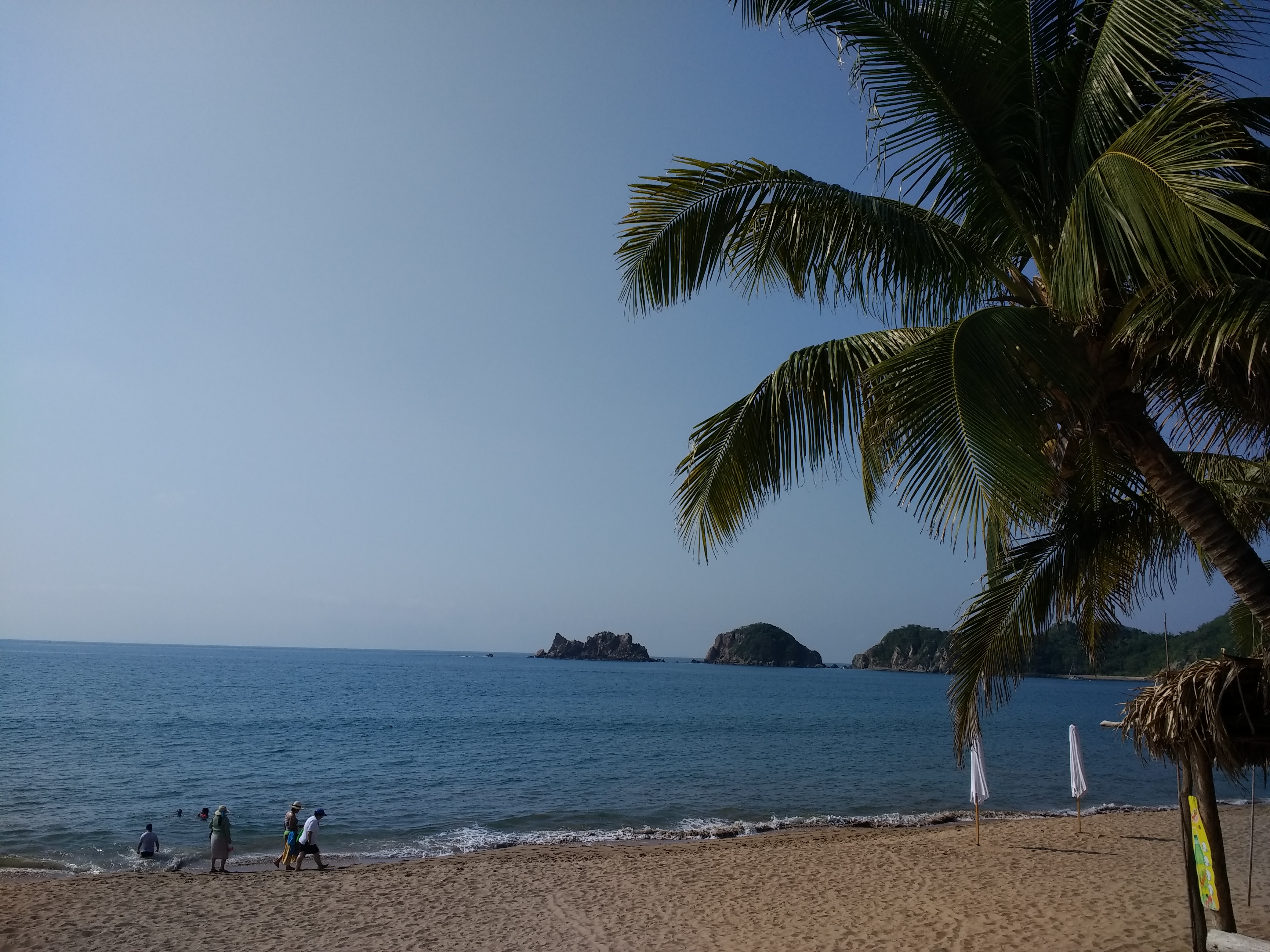 Pata's bar & grill image 2