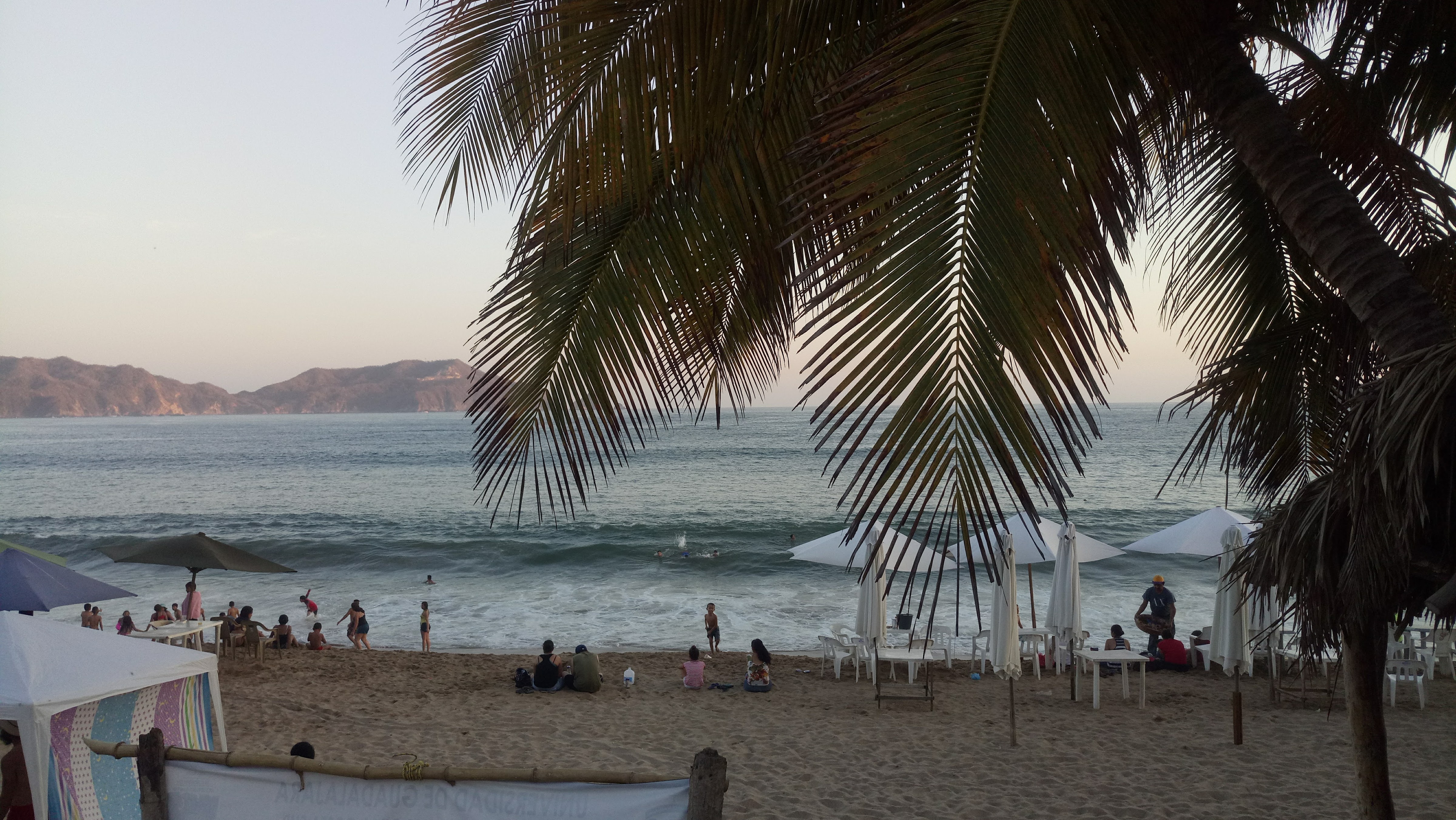 Pata's bar & grill image 3