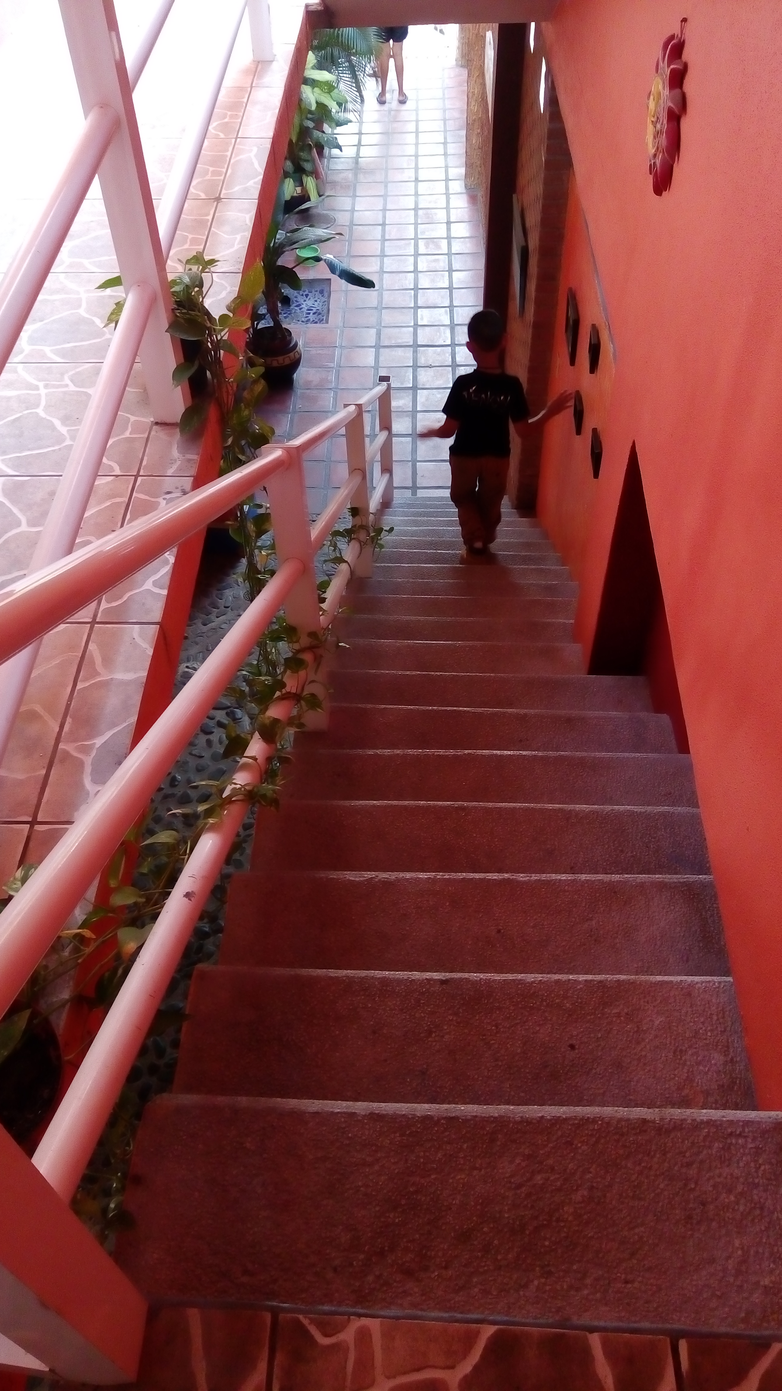 Pata's bar & grill image 7