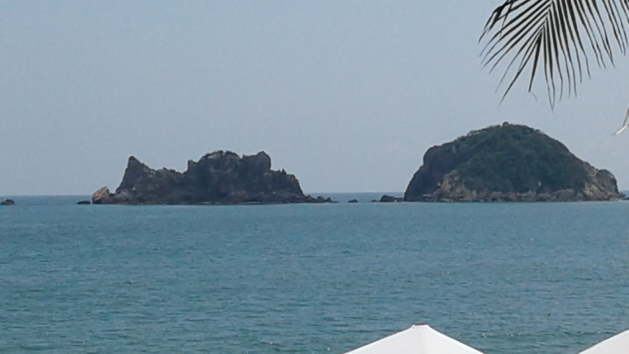 Pata's bar & grill image 9