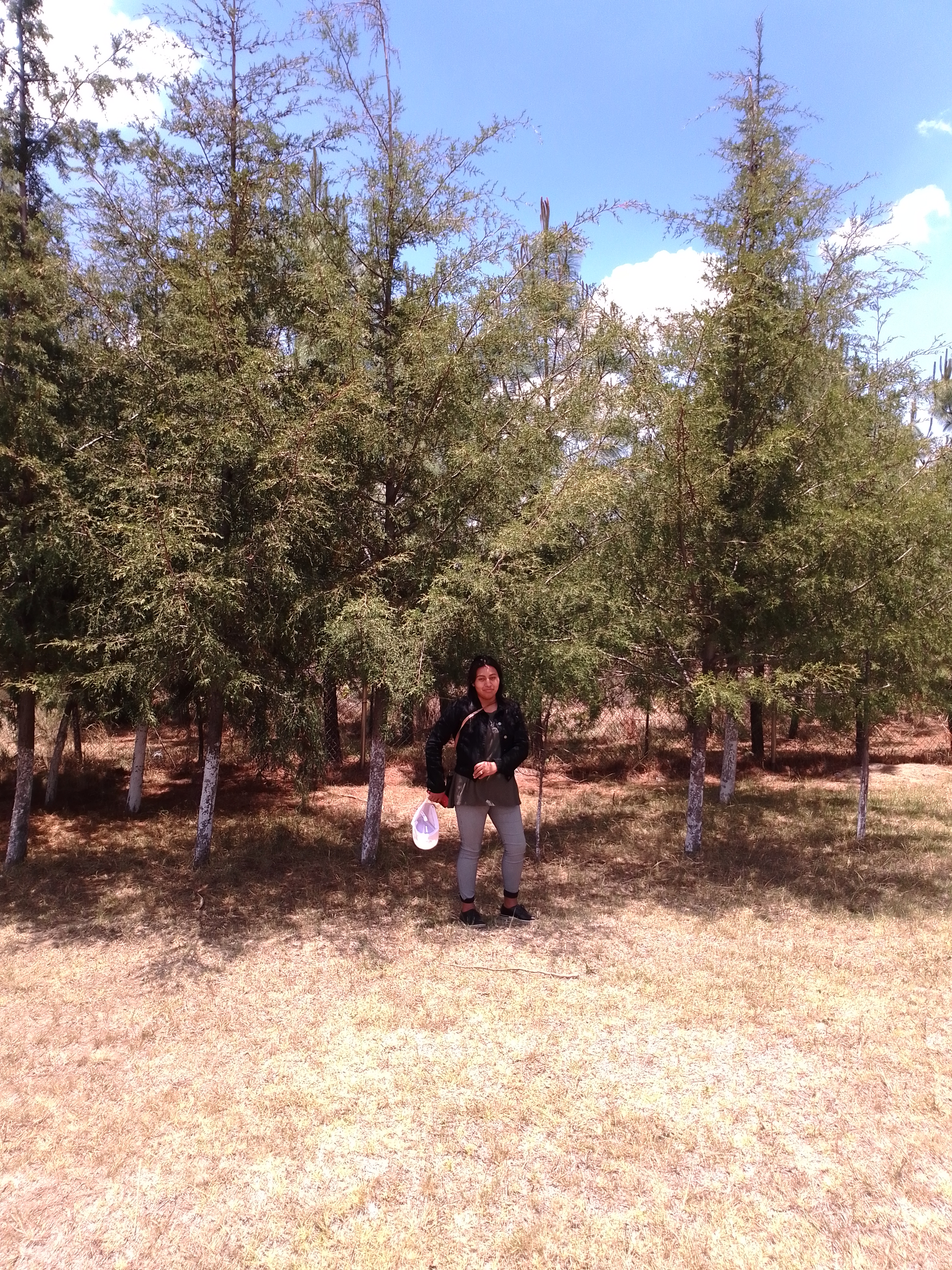 Truchas El Salto image 6