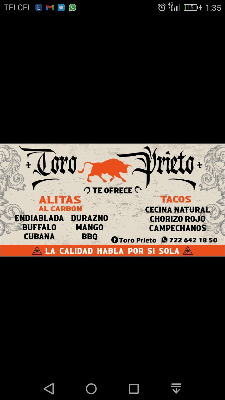 Toro Prieto image 2