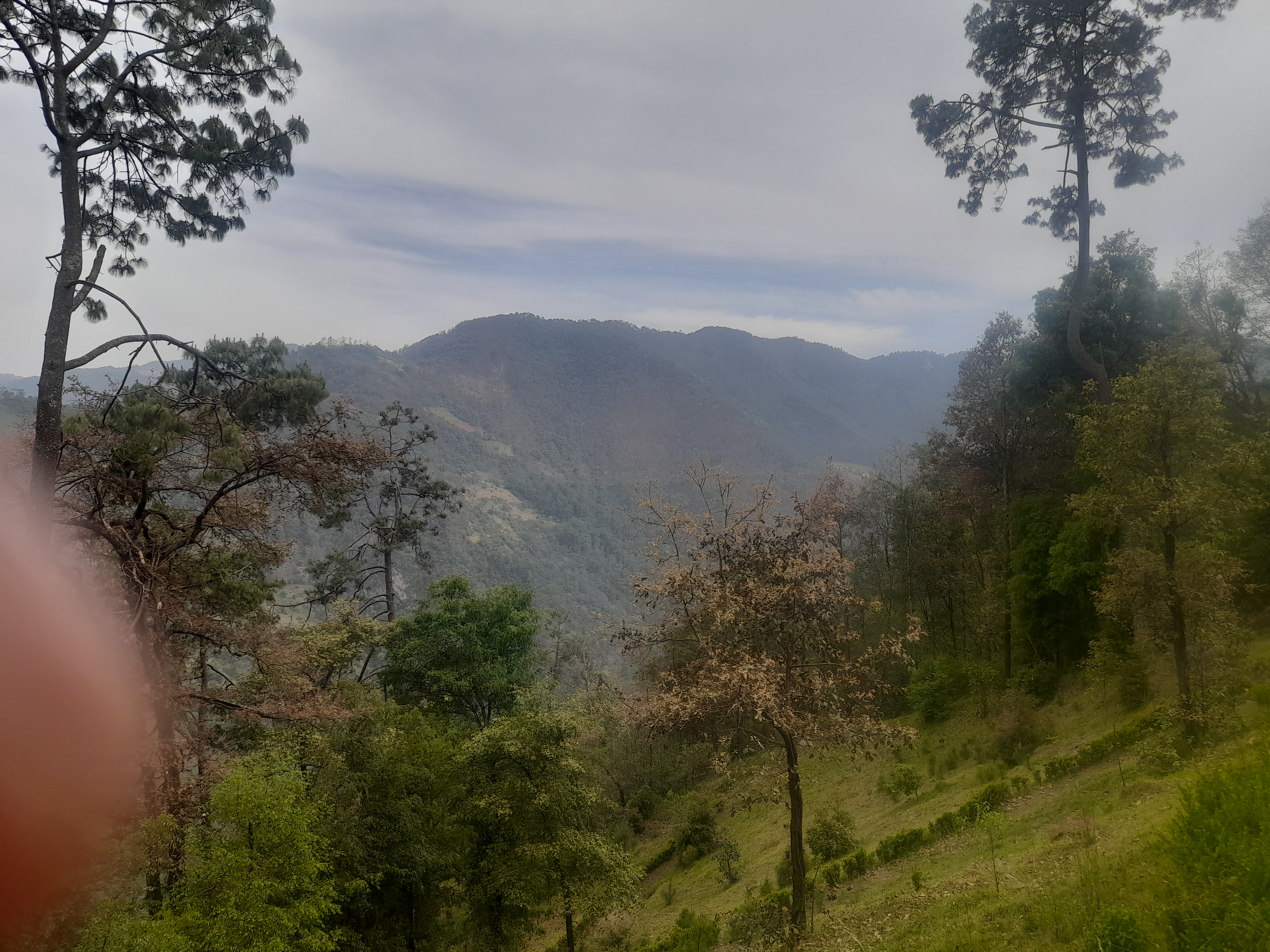 El DESPERTAR image 3