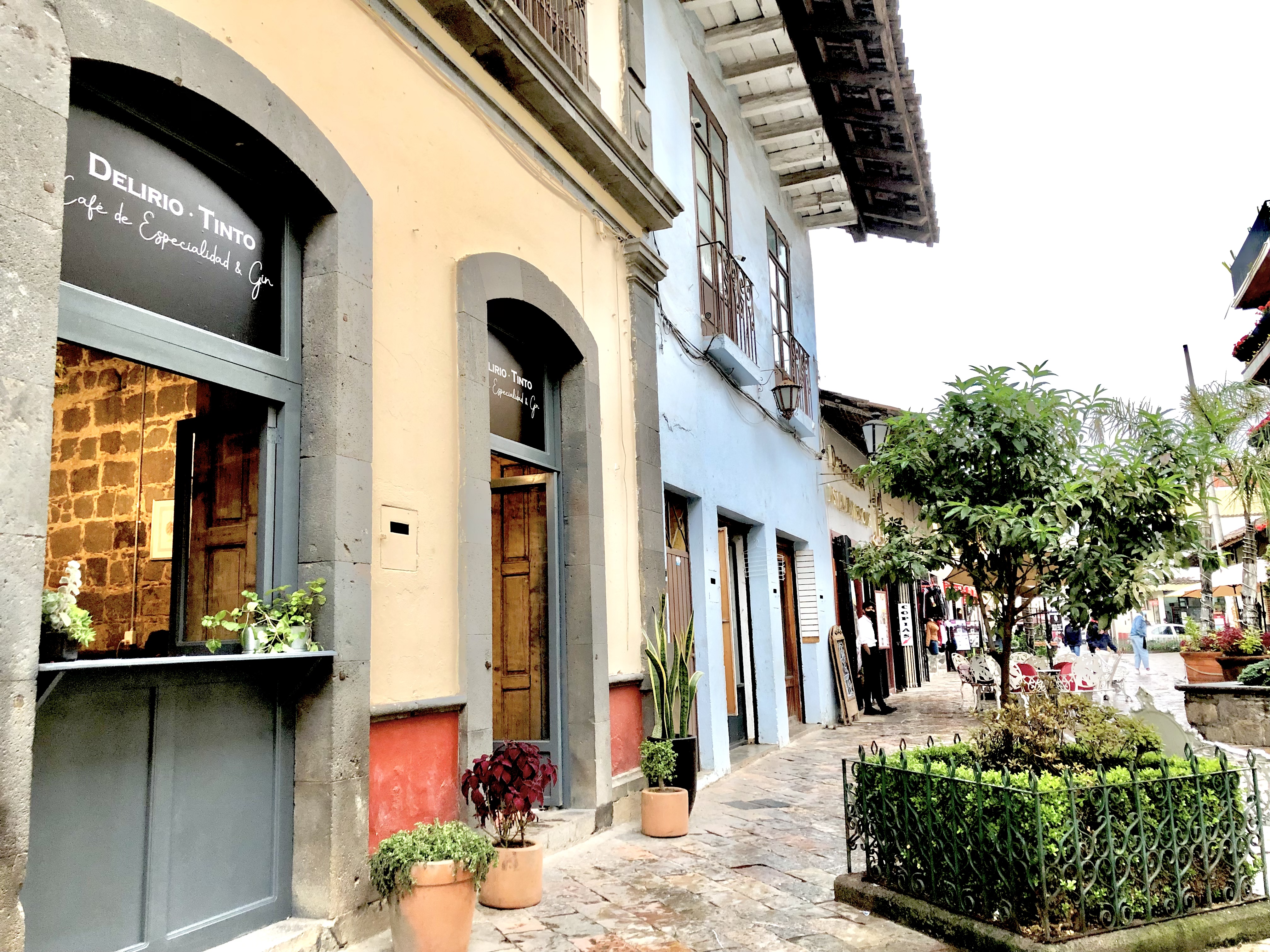 Delirio tinto image 7