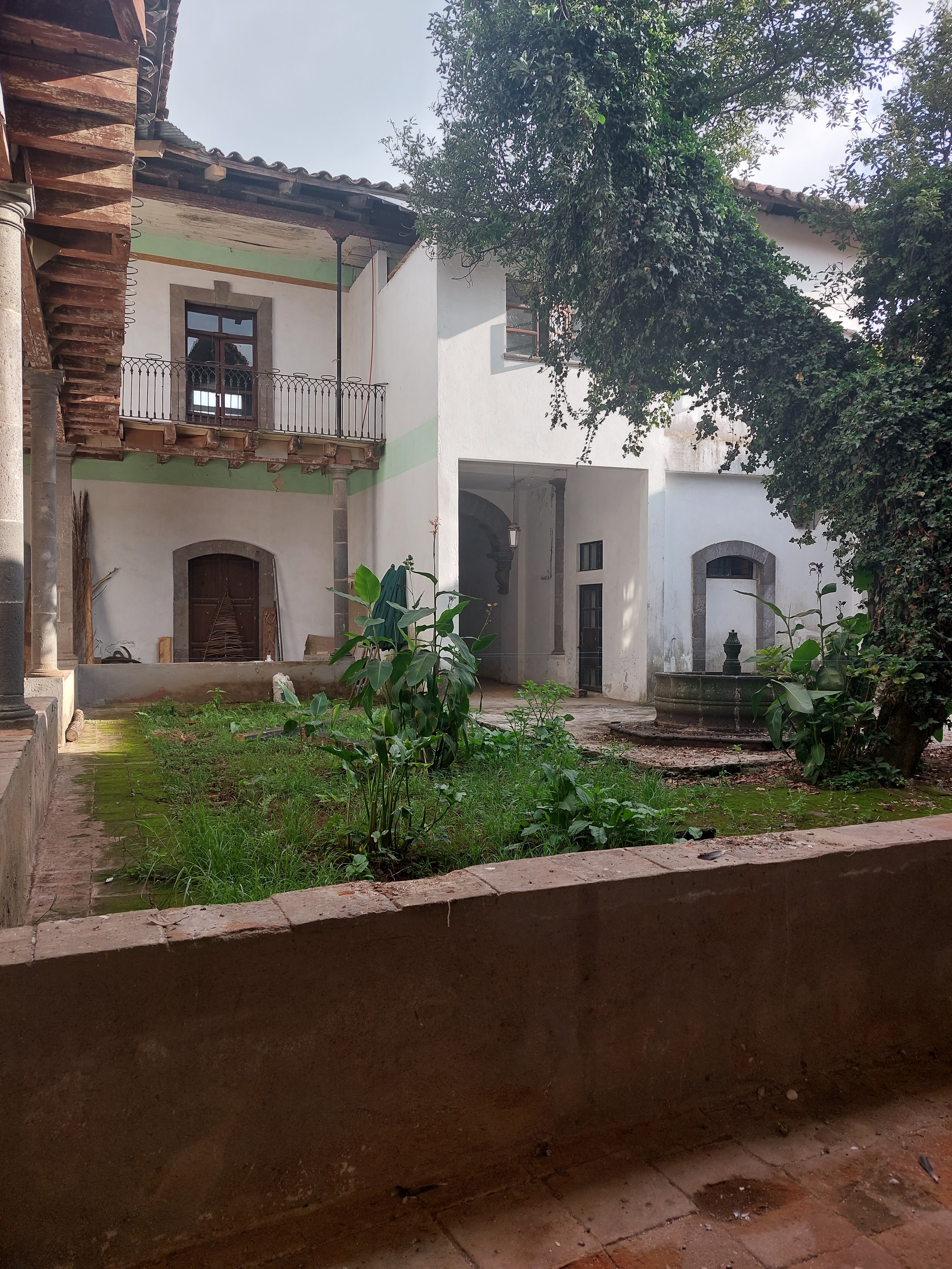 Delirio tinto image 10