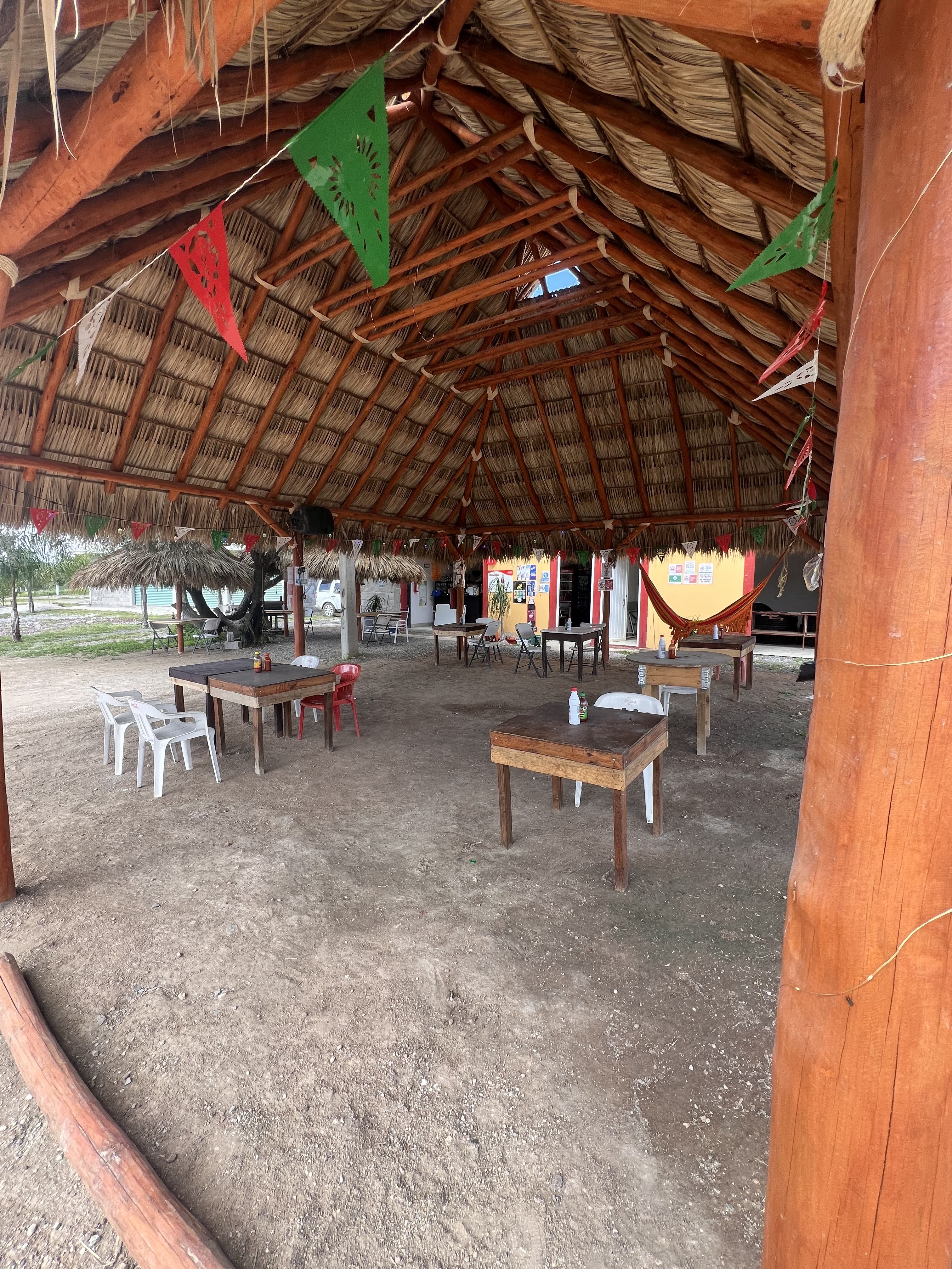 El mezquite del Patrón image 1