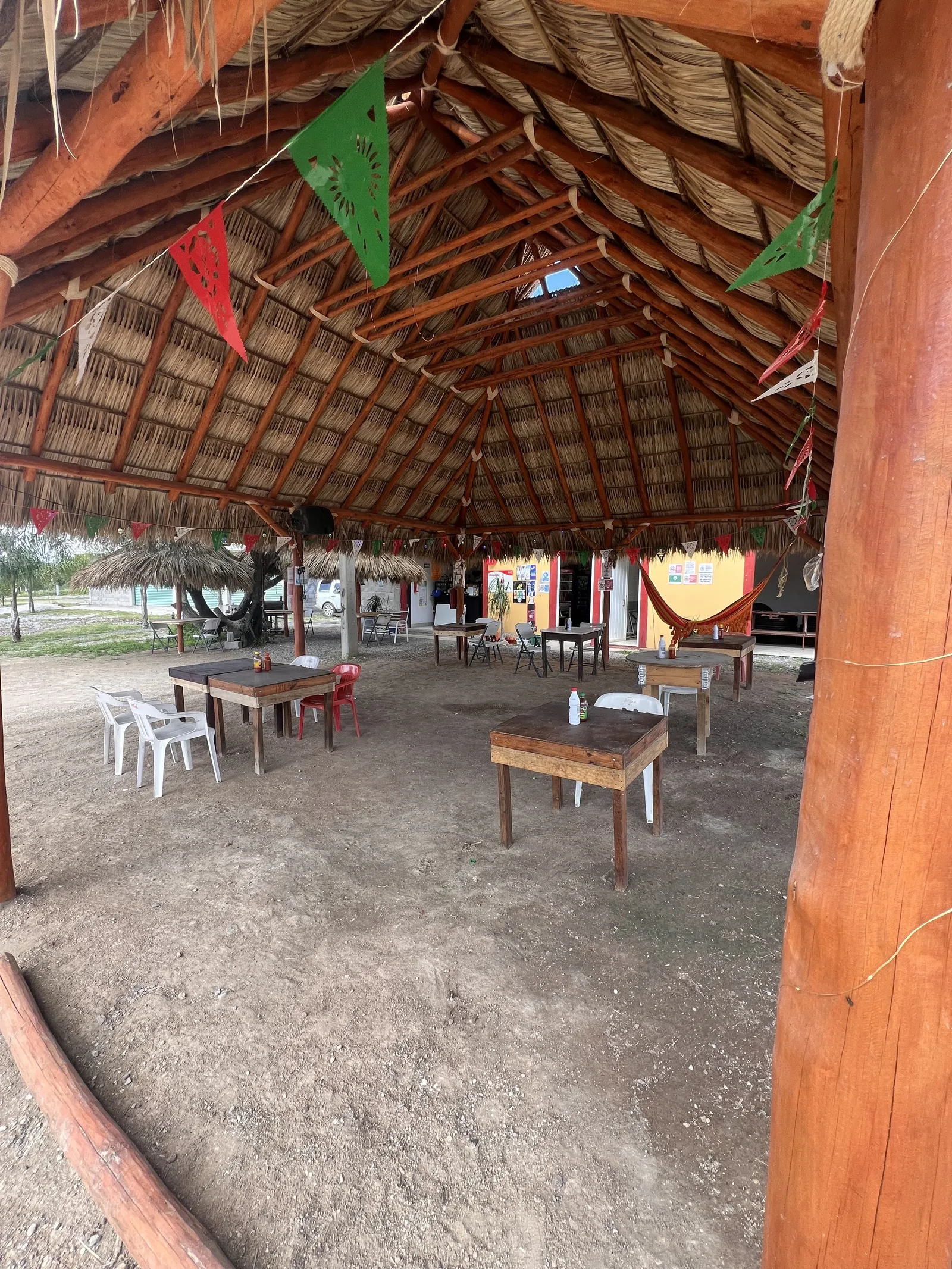 El mezquite del Patrón image 1