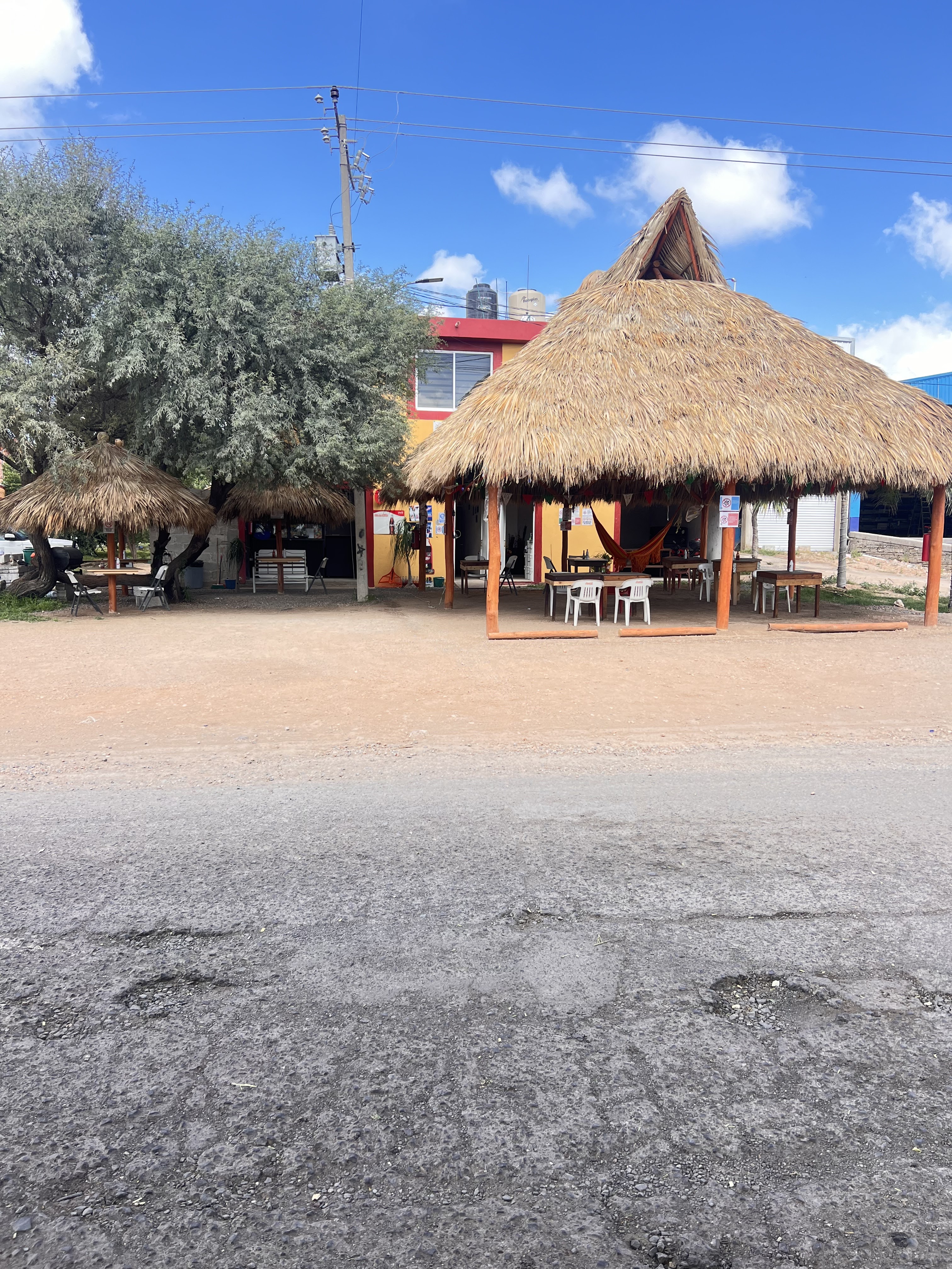 El mezquite del Patrón image 3