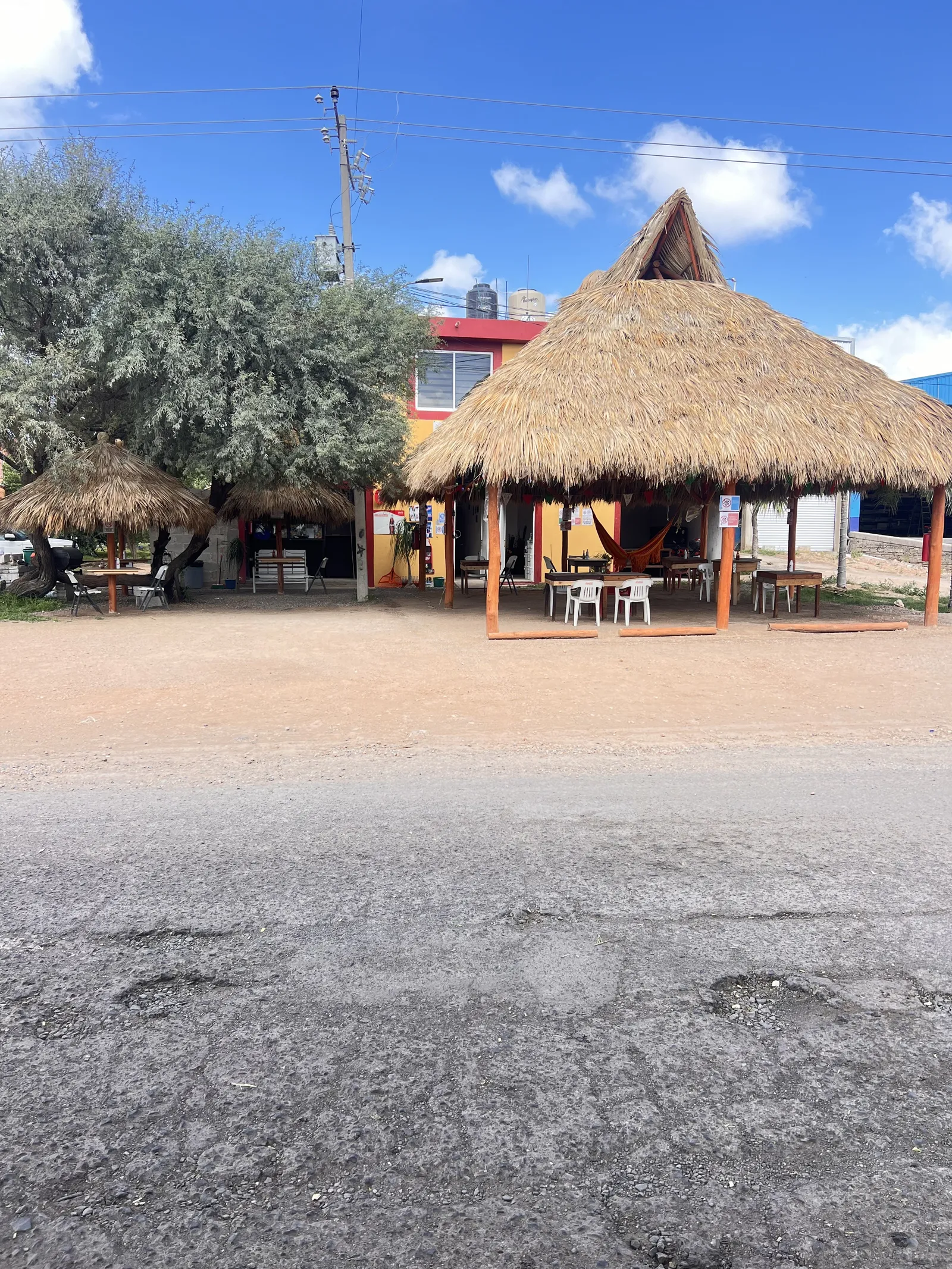 El mezquite del Patrón image 3