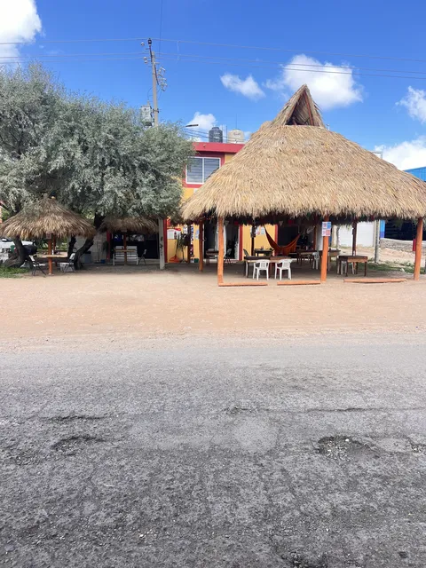 El mezquite del Patrón image 3